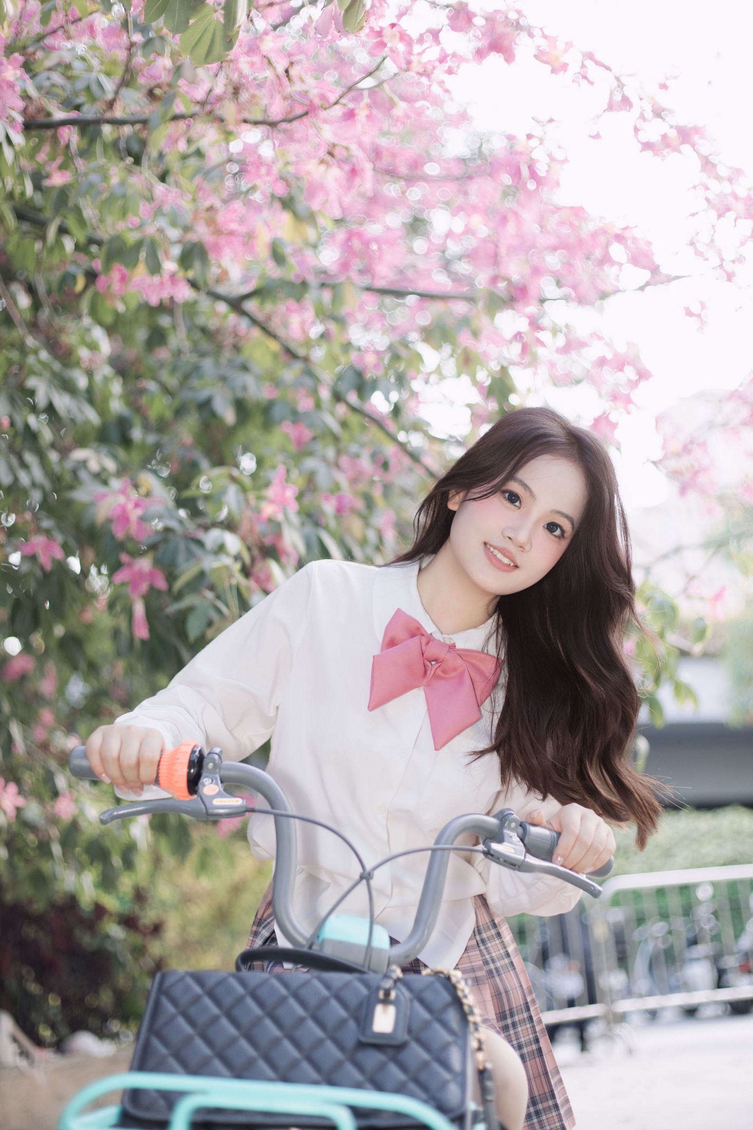 《异木棉》[10P]