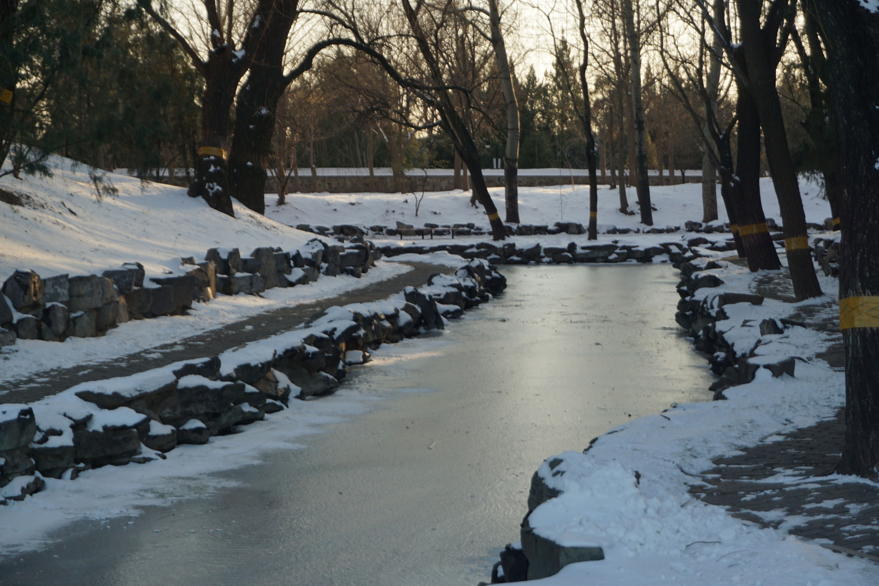 《冬日风光》[9P]