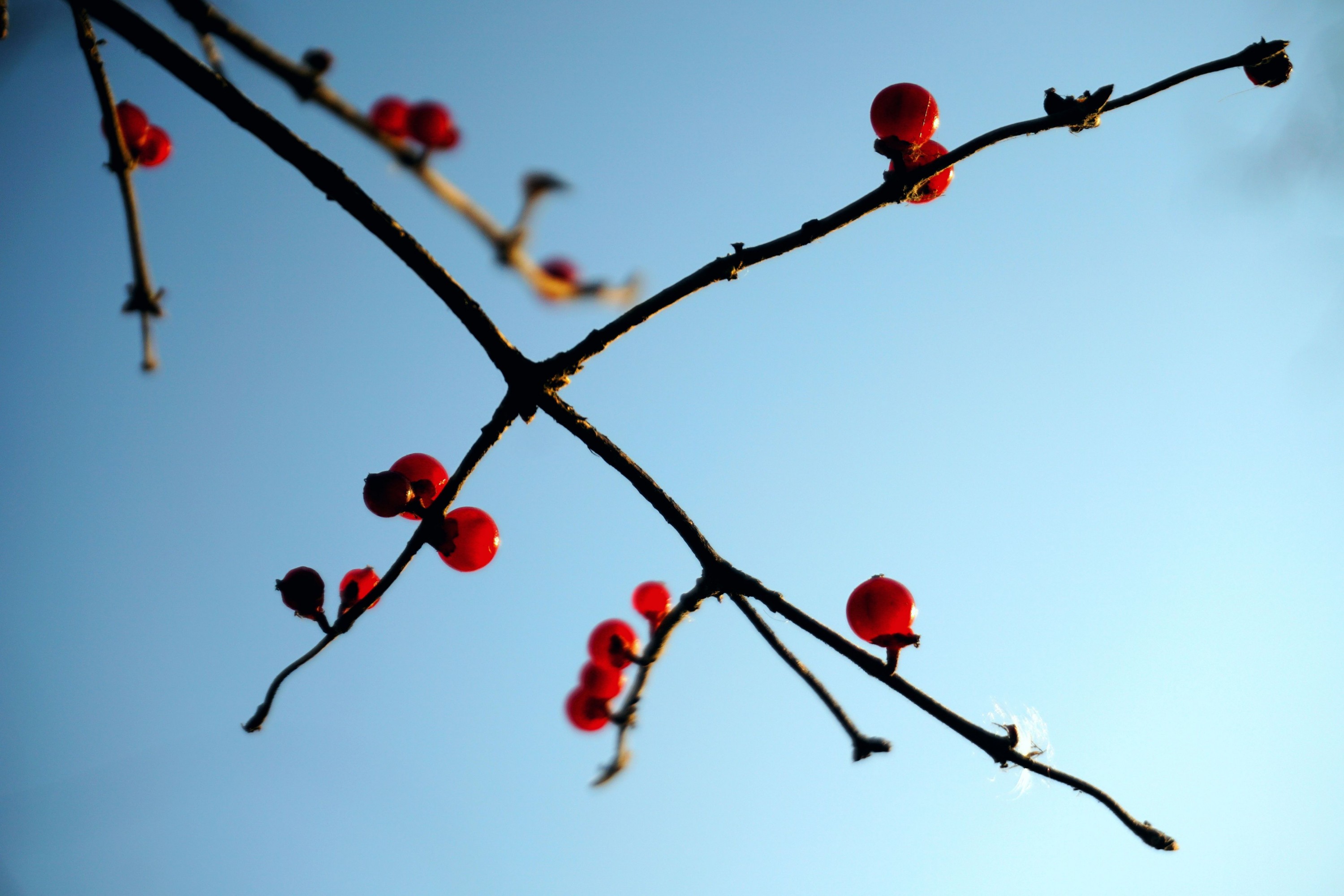 《冬日风光》[9P]