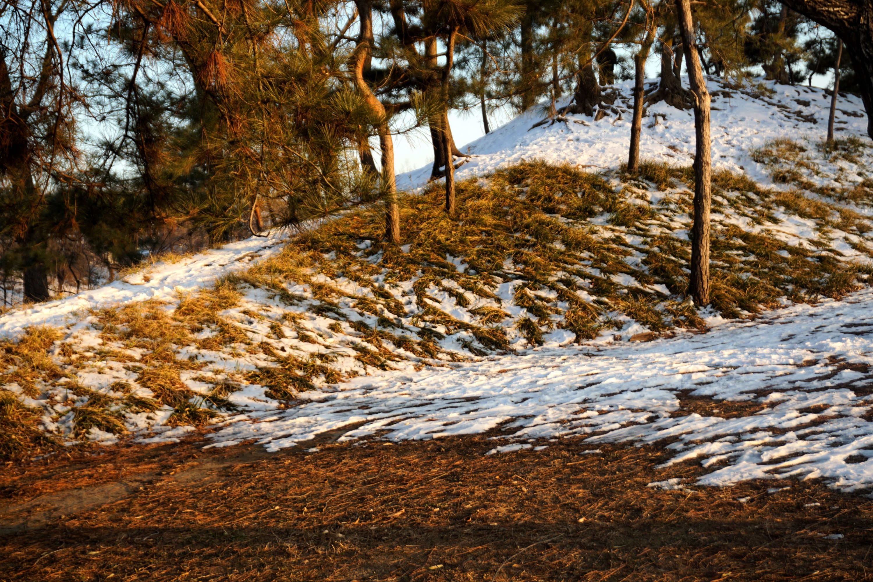《冬日风光》[9P]