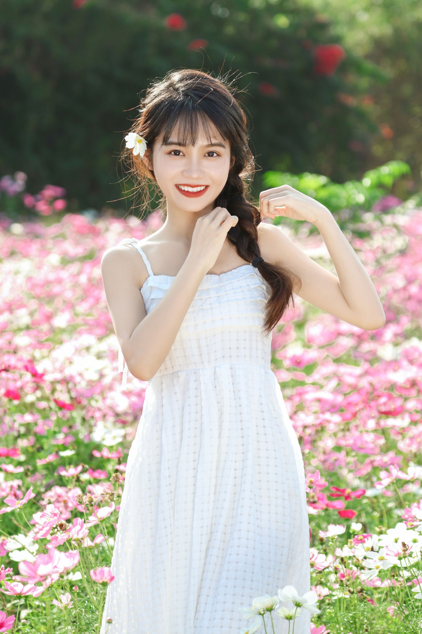 《格桑花海》[13P]