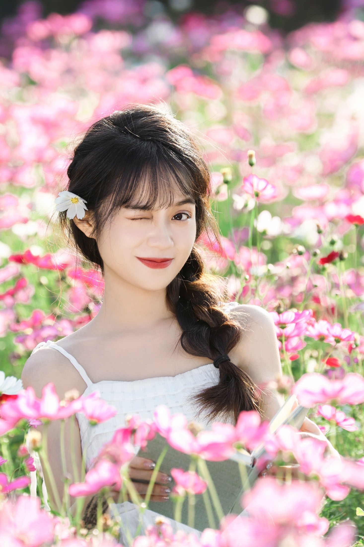 《格桑花海》[13P]