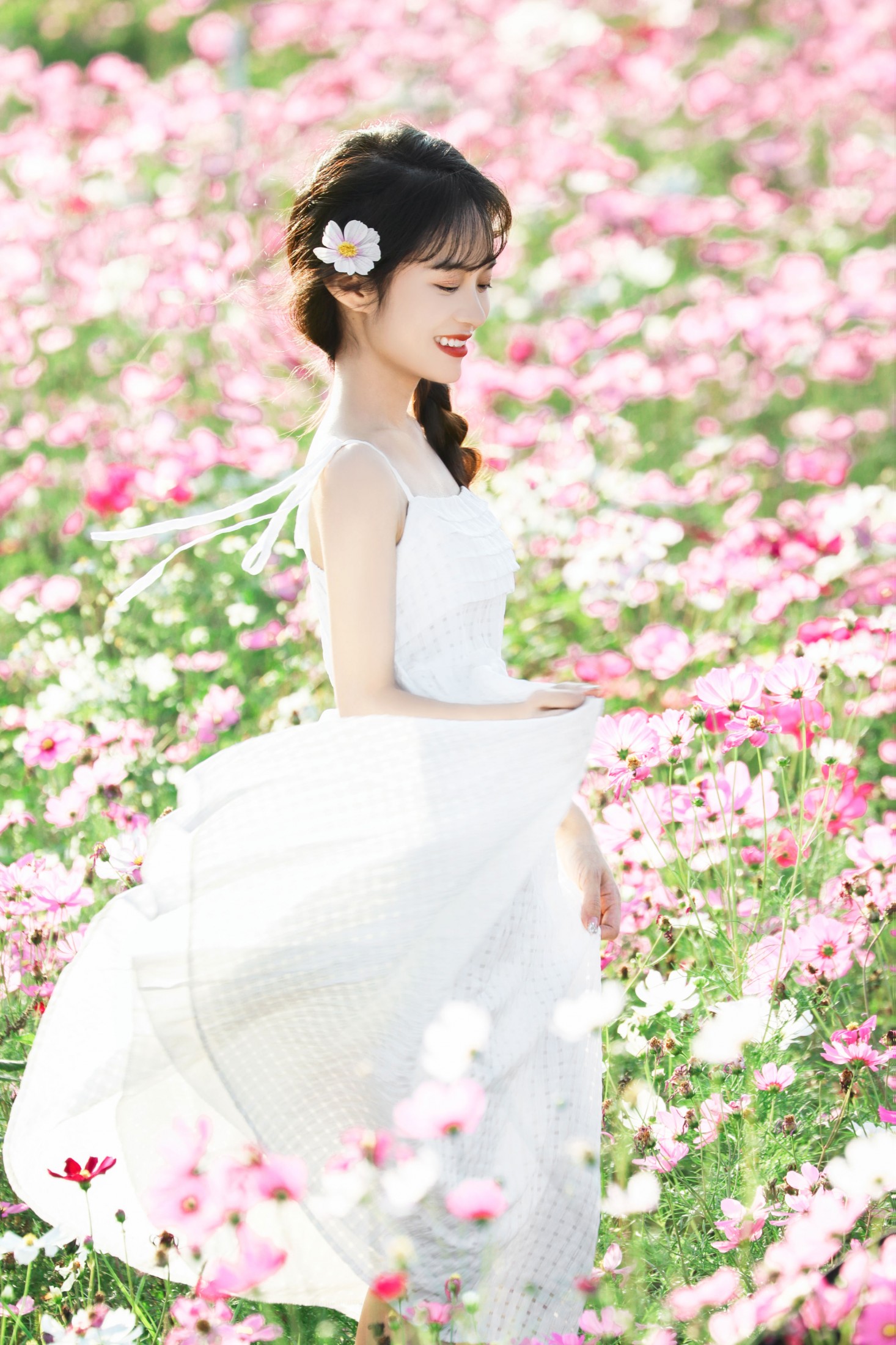 《格桑花海》[13P]