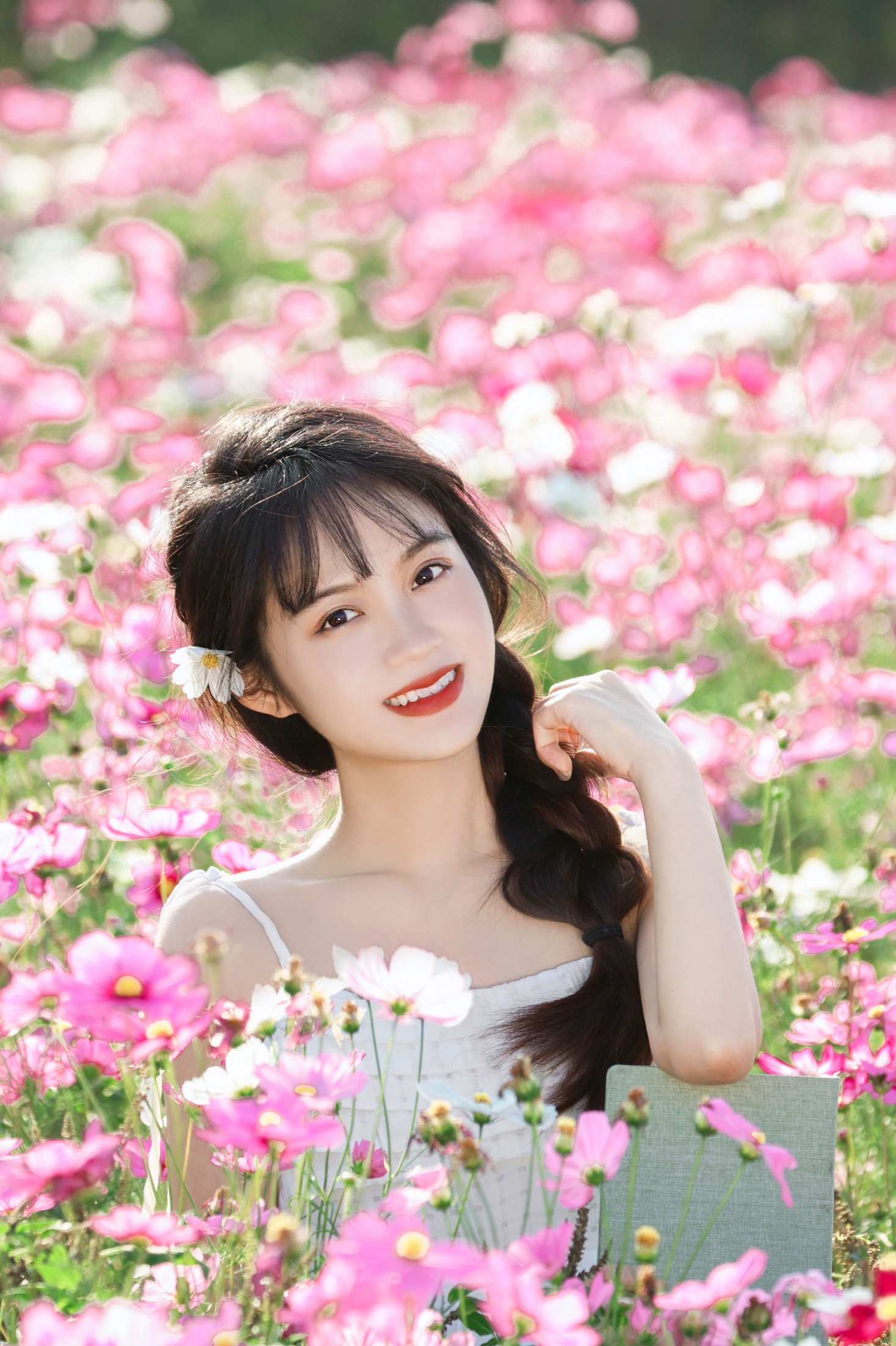 《格桑花海》[13P]