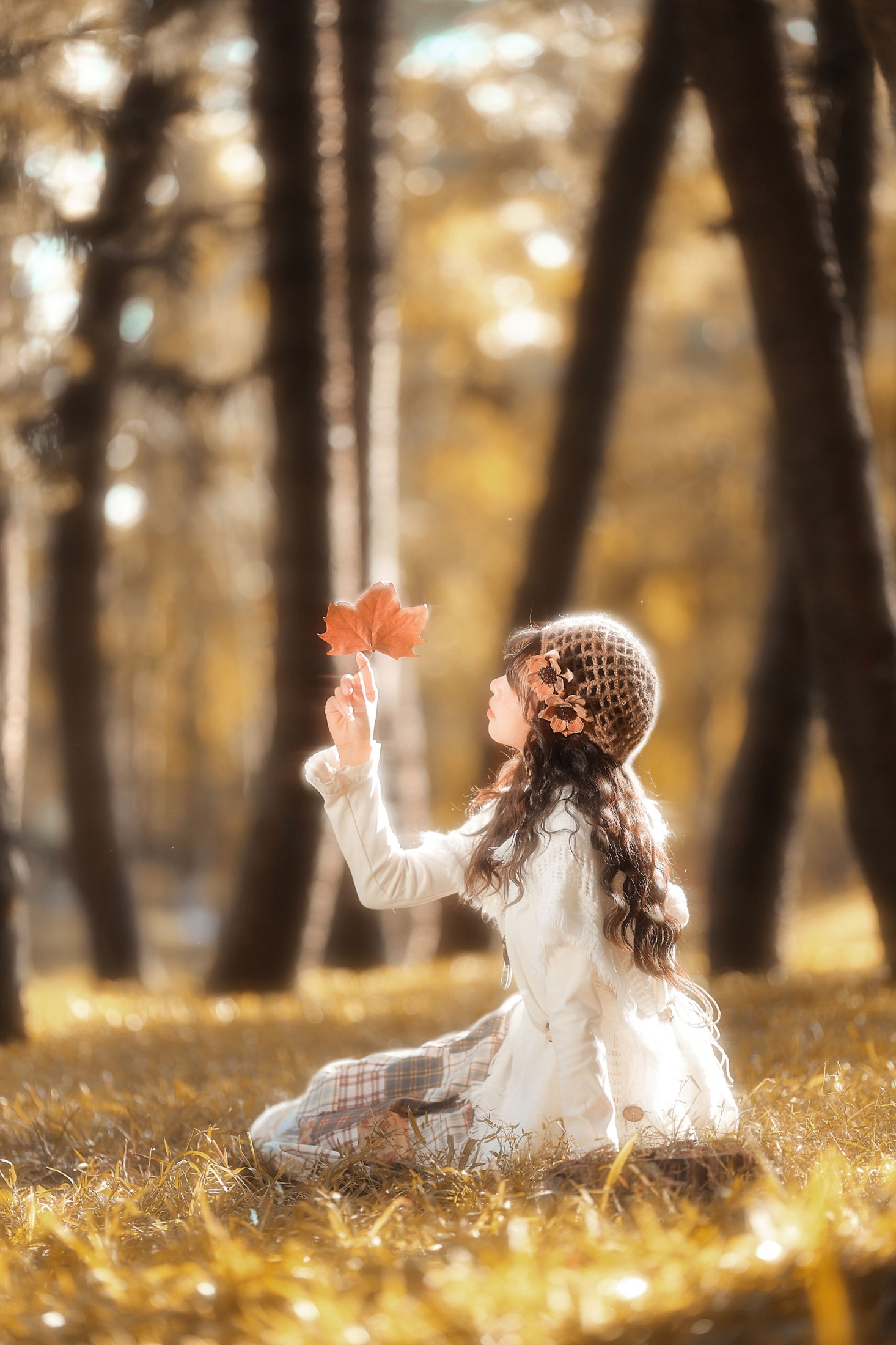 甜磕. - 《和落叶撞个满怀》[25P]