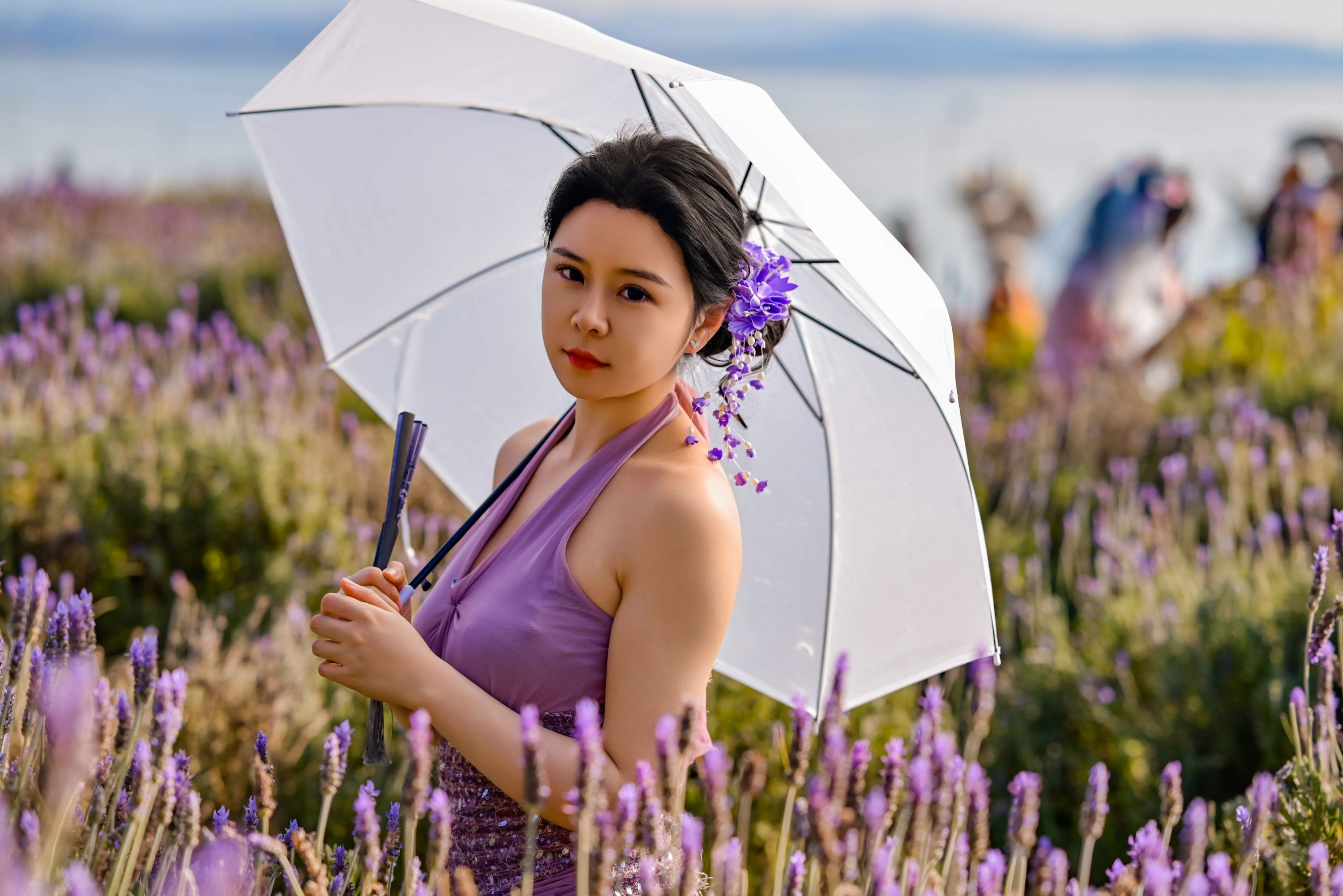 晶晶 - 《紫色记忆》[39P]