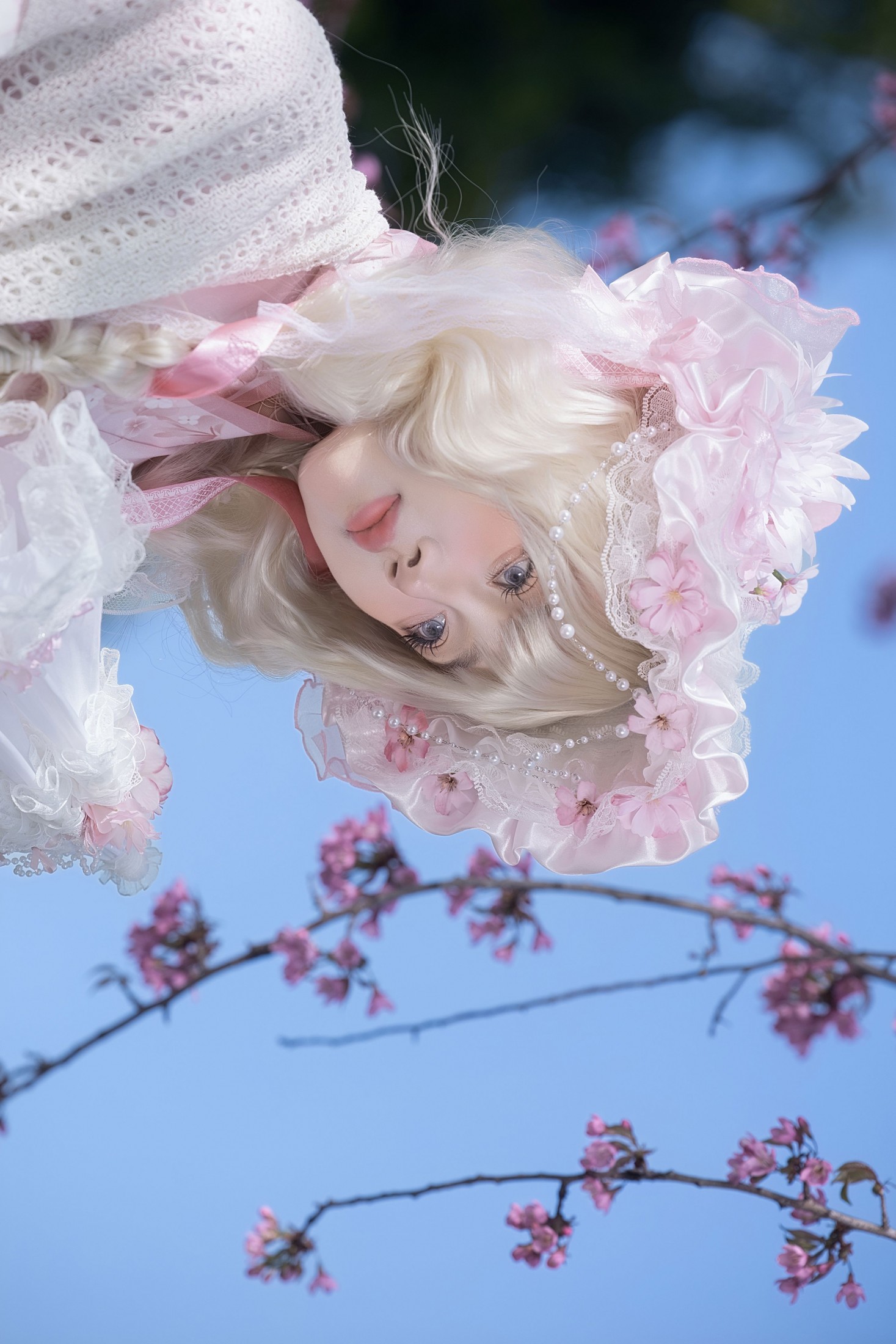 瑾之鲨鱼 - 《樱花树下》[15P]