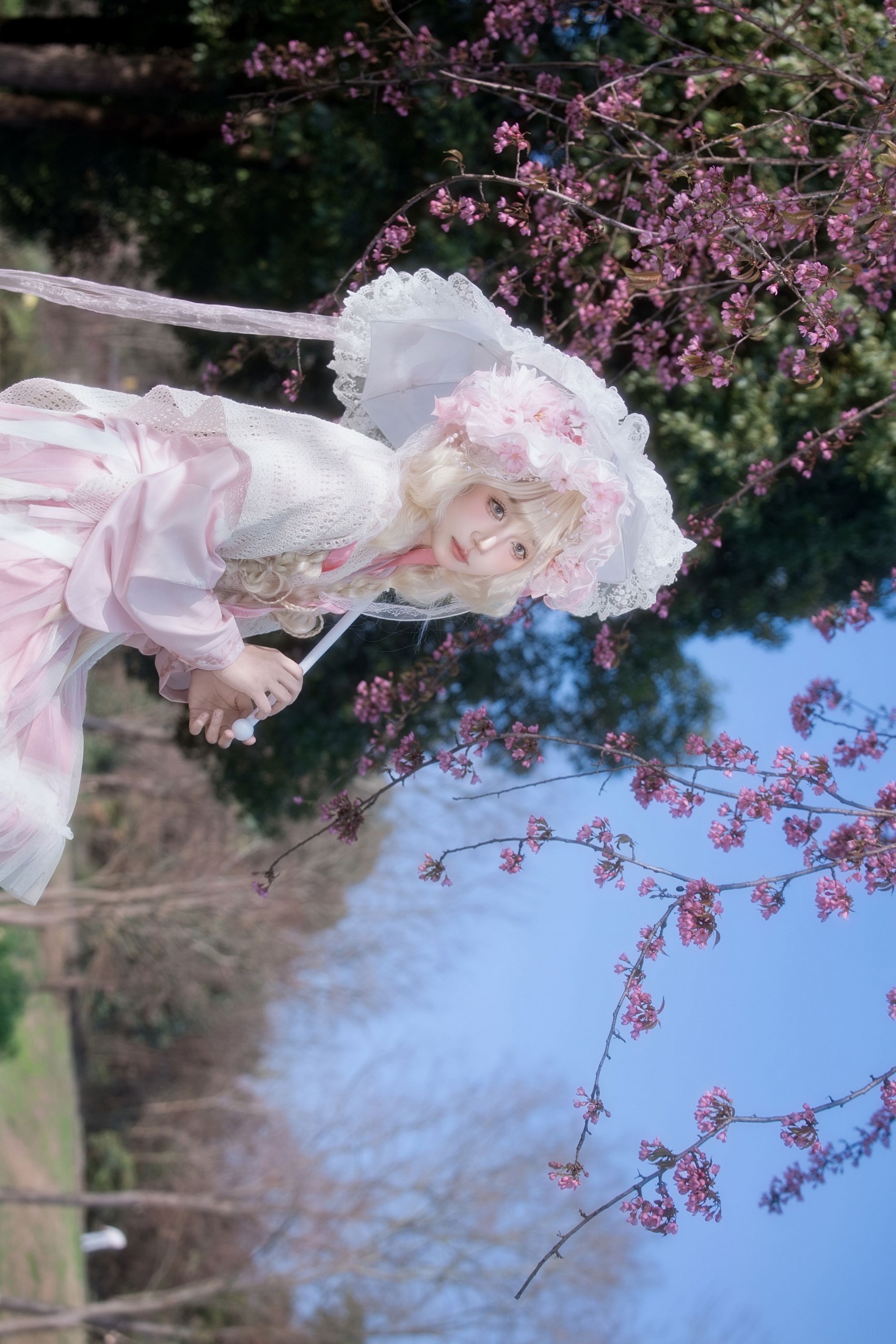 瑾之鲨鱼 - 《樱花树下》[15P]