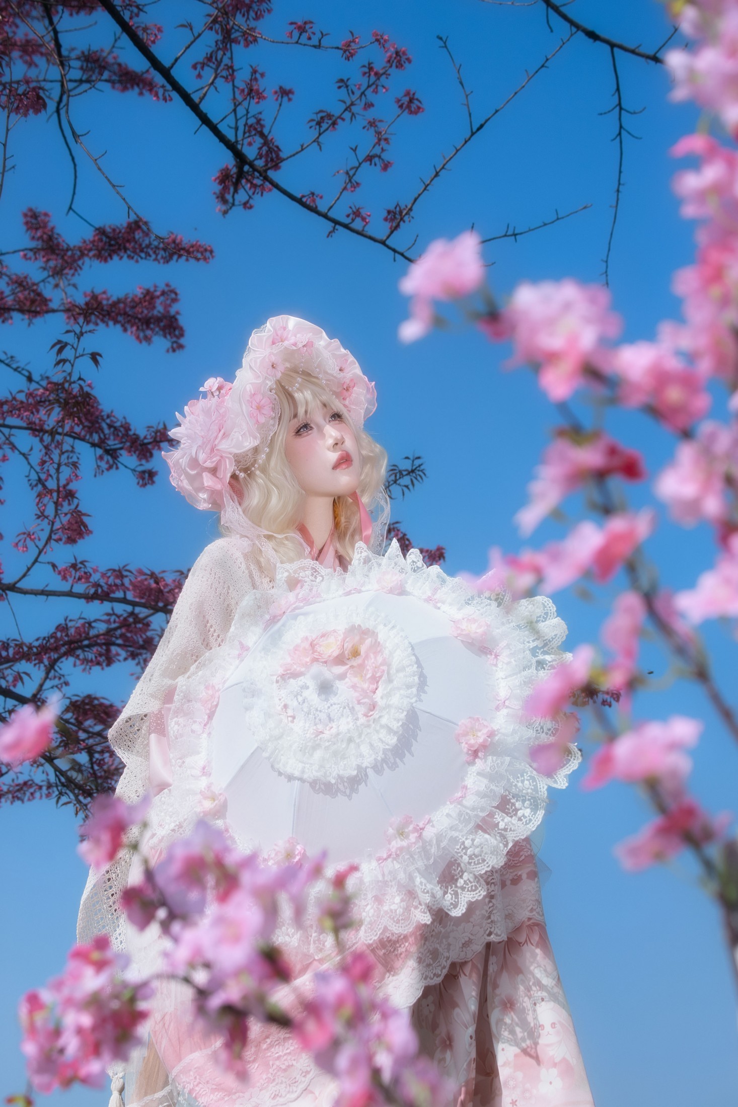 瑾之鲨鱼 - 《樱花树下》[15P]