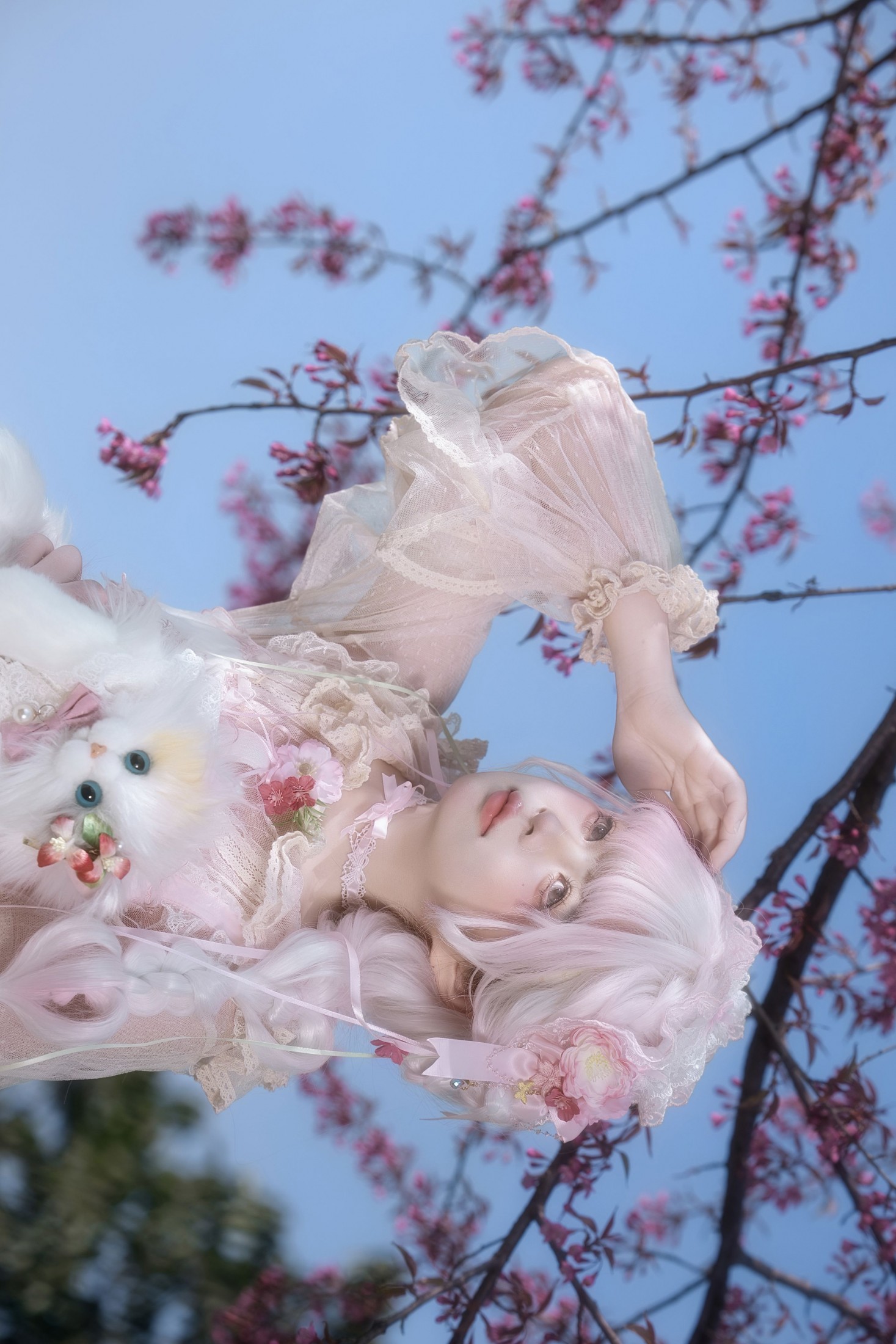 瑾之鲨鱼 - 《樱花树下》[15P]