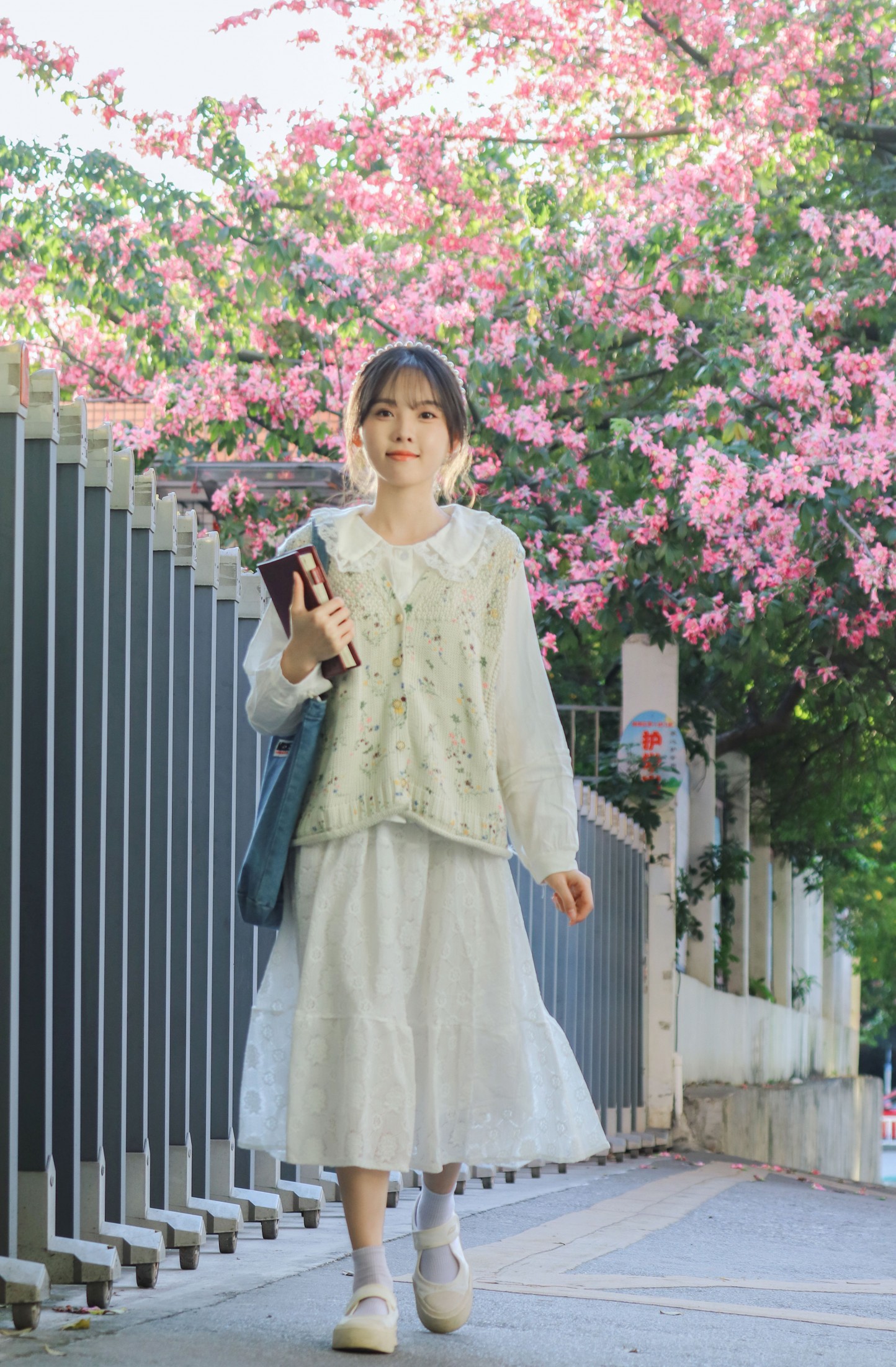 《异木棉树下》[15P]