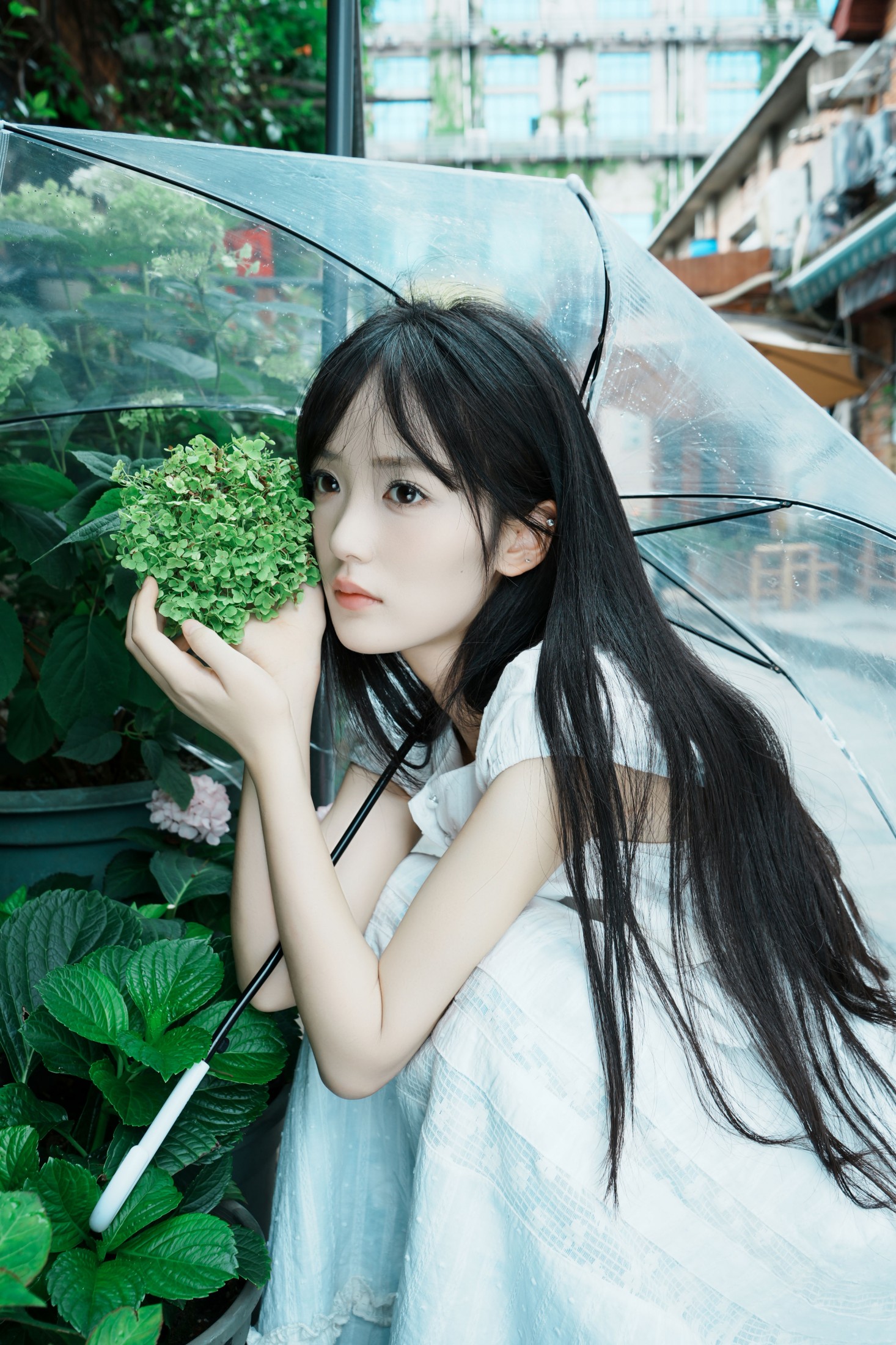 《夏天的颜色》[29P]