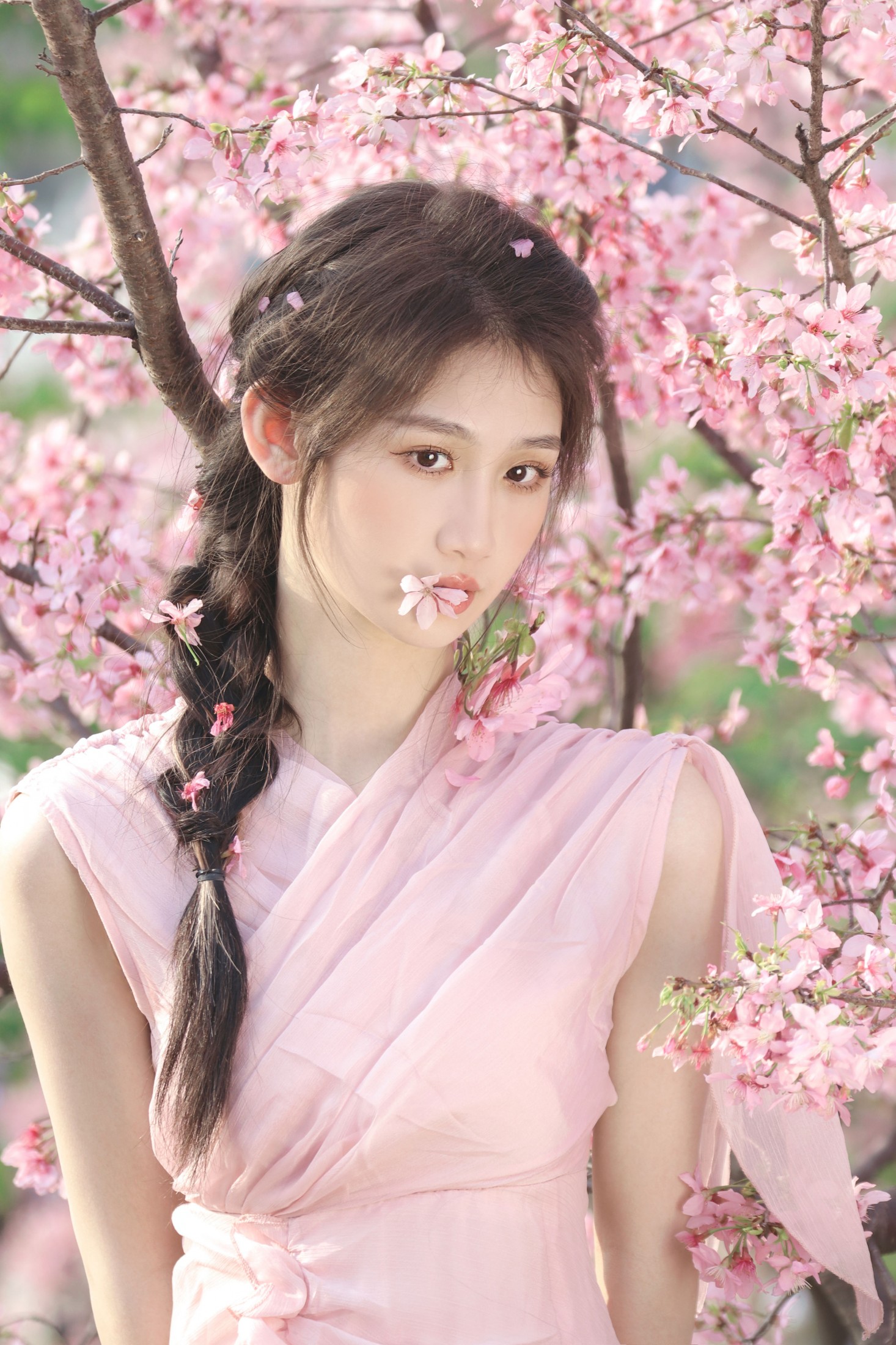 i的三次方 - 《樱花树下 站谁都美》[9P]