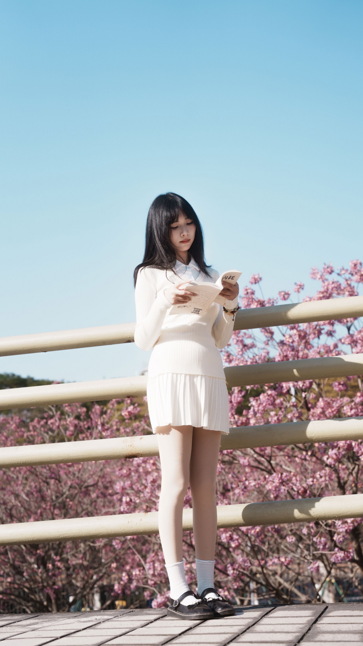 《光有光的来意》[47P]