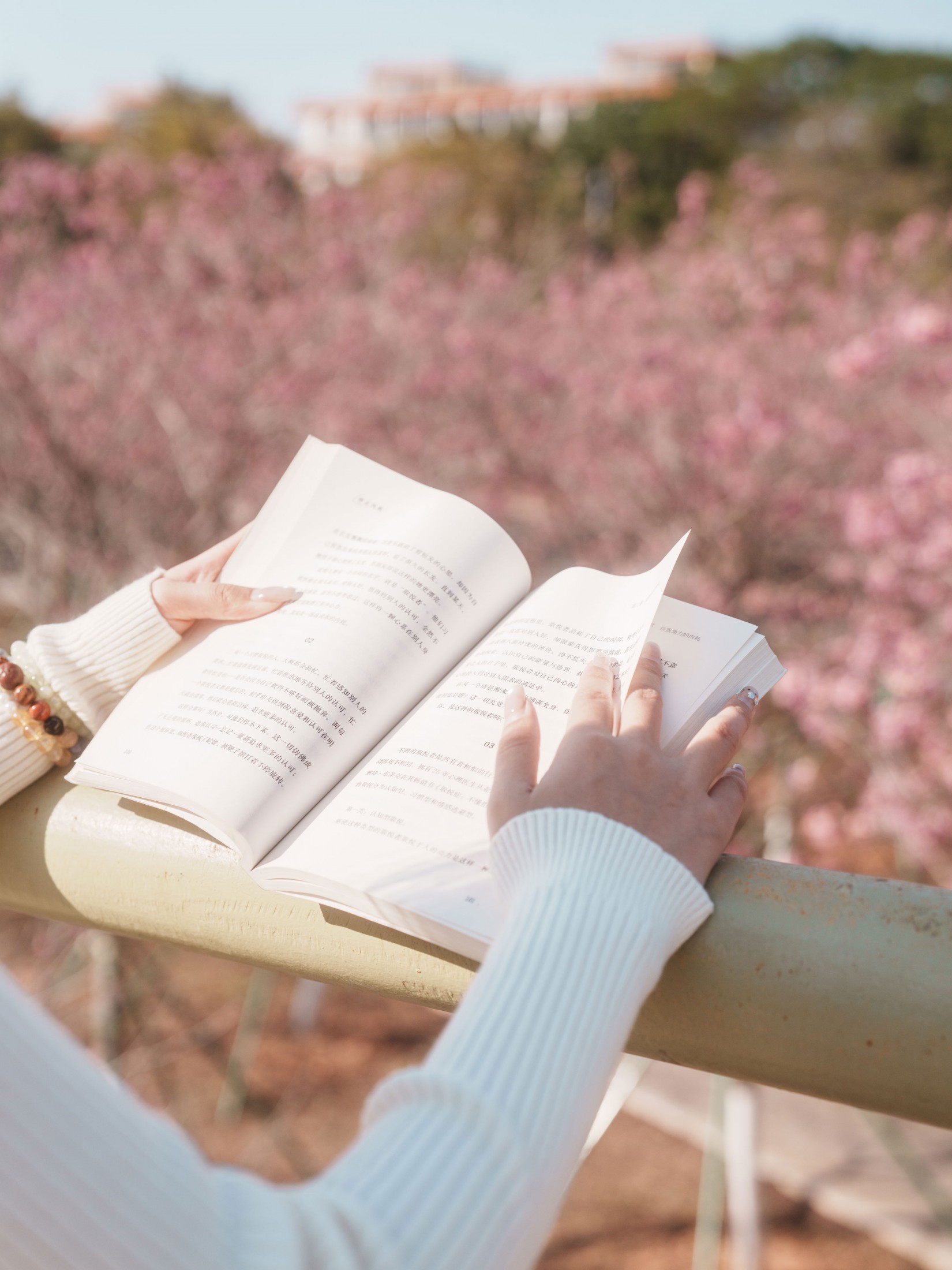 《光有光的来意》[47P]