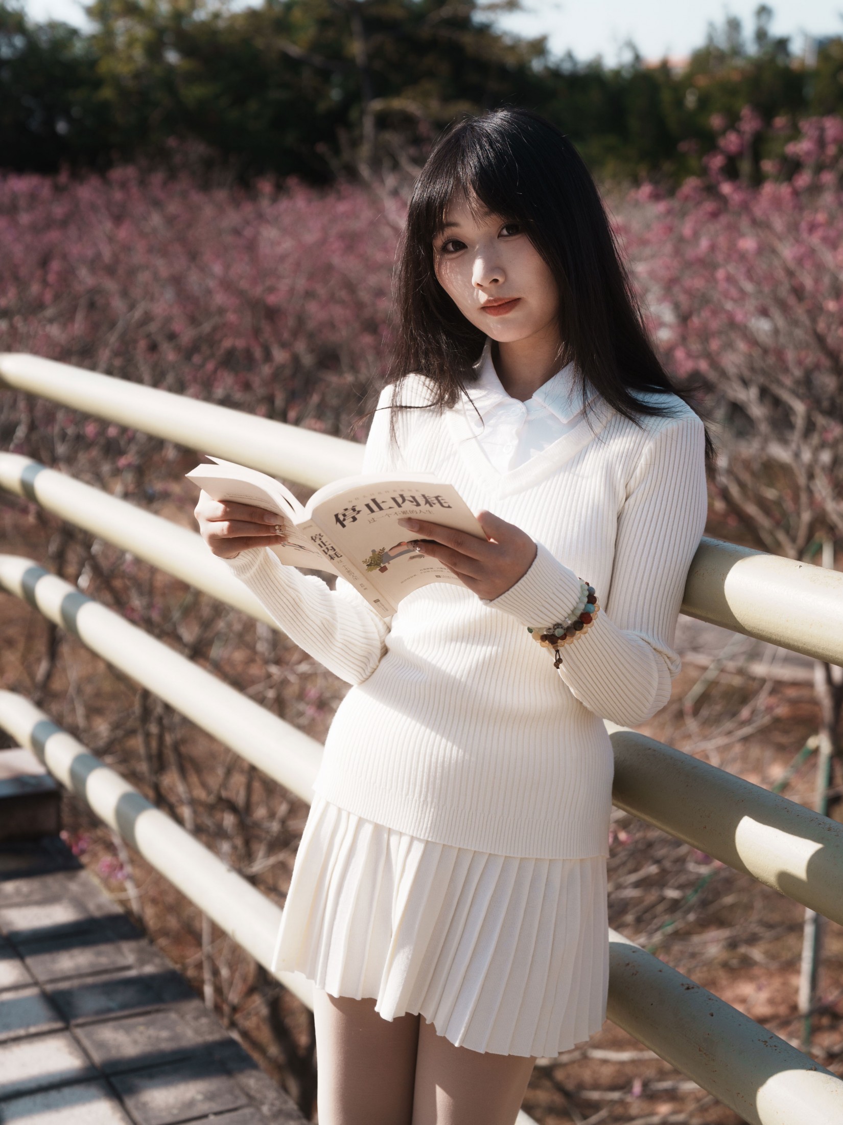 《光有光的来意》[47P]