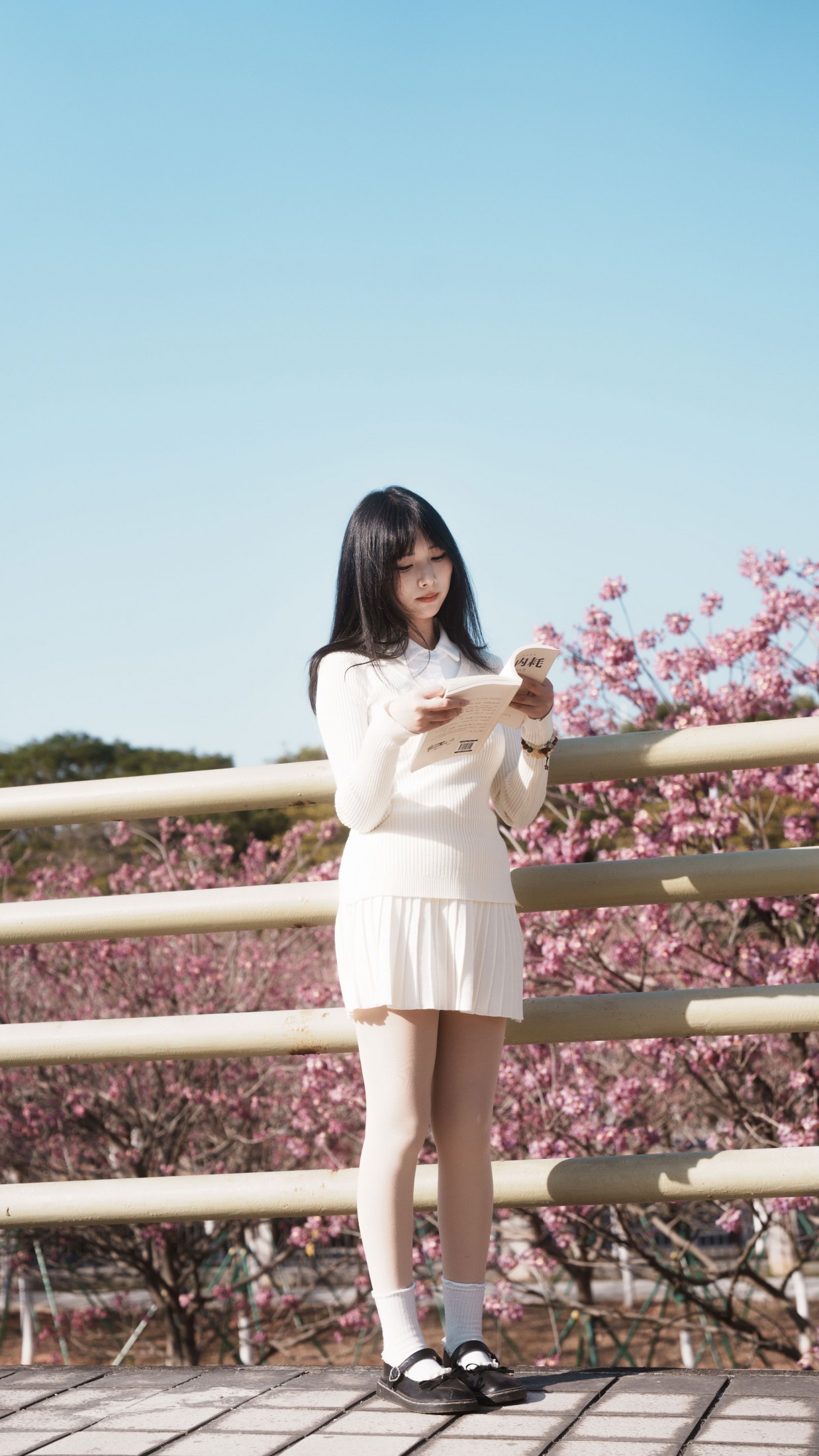 《光有光的来意》[47P]