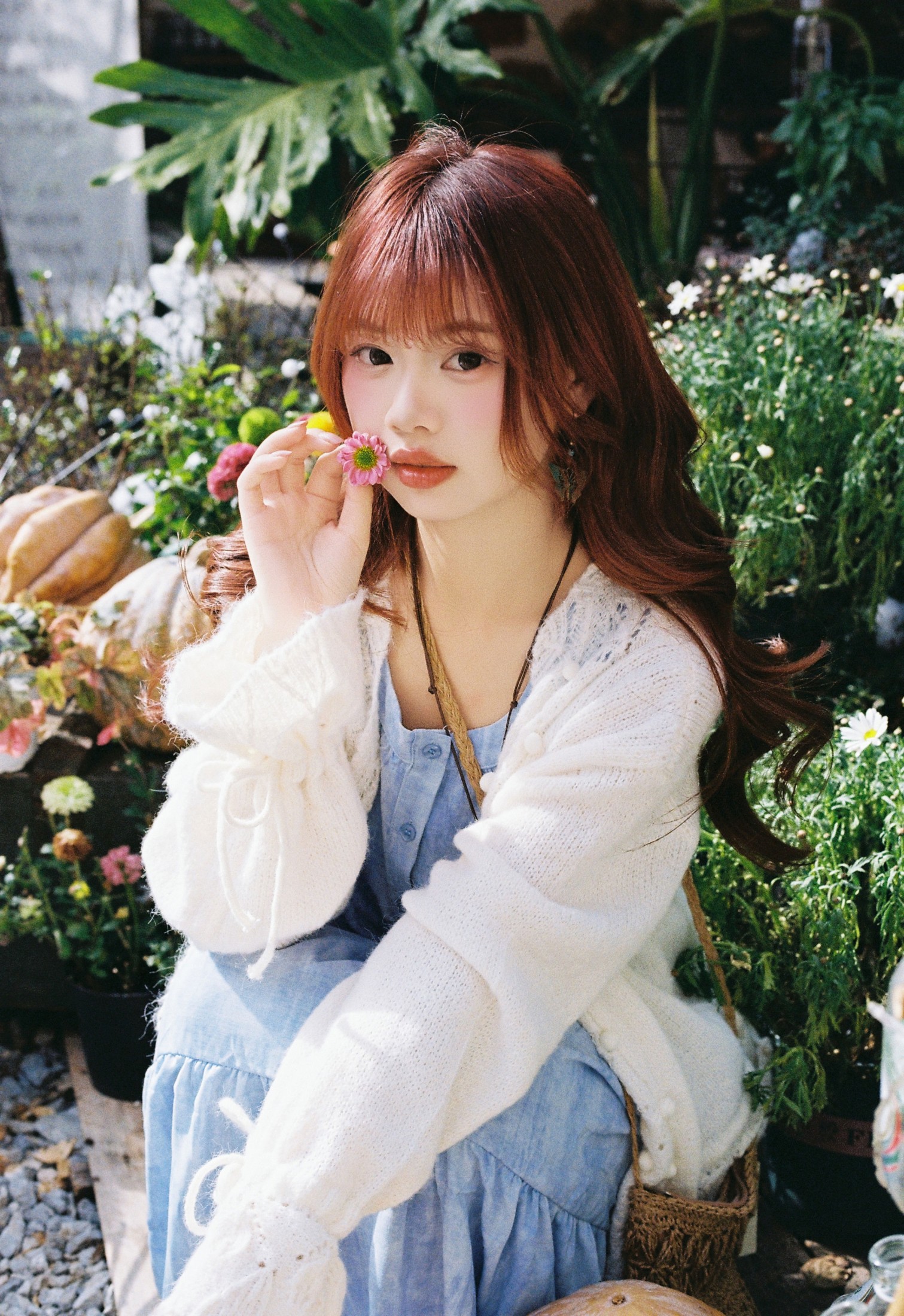 我好圆啊 - 《大理的旅行胶片️》[12P]