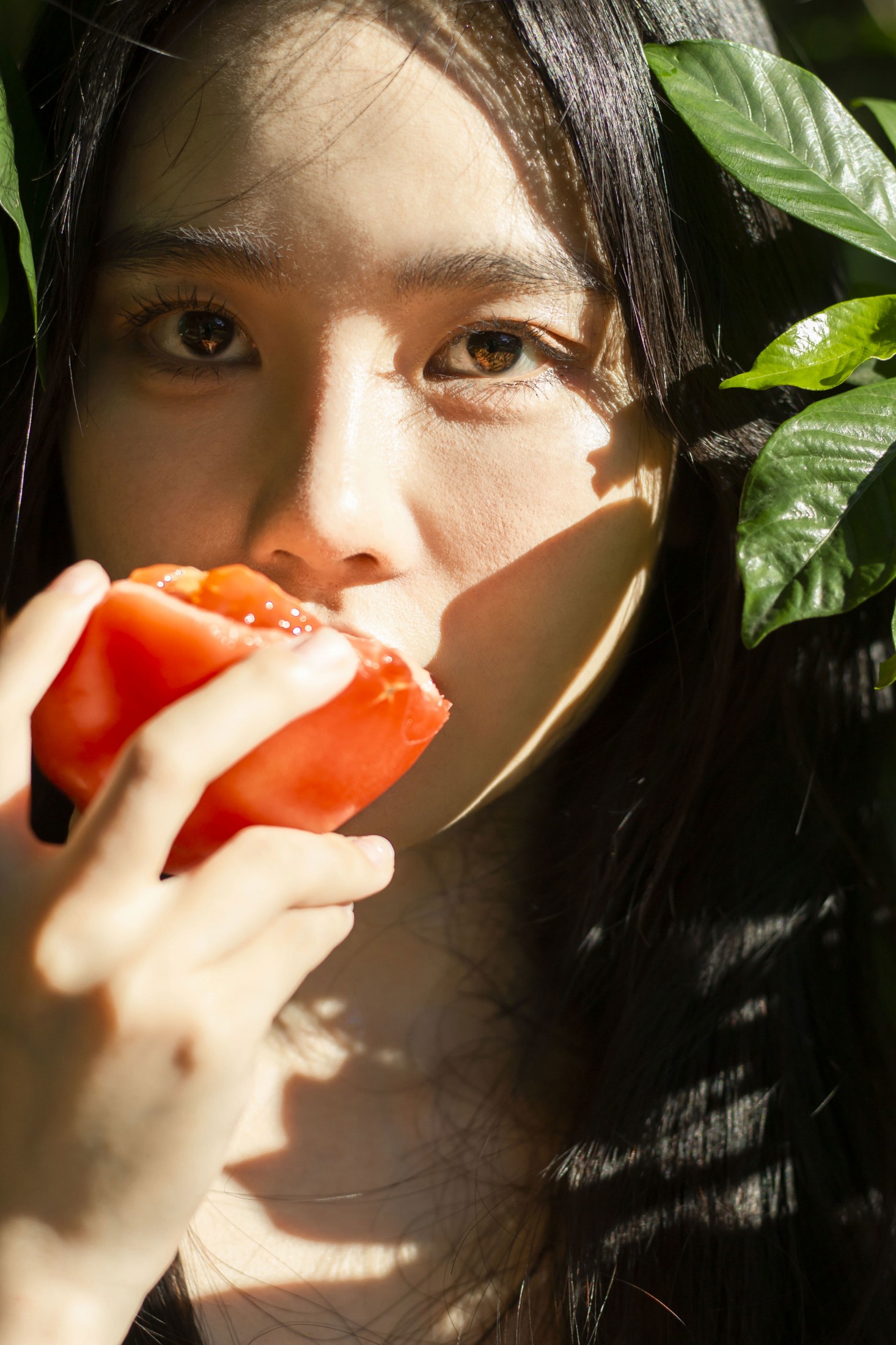 《西红柿味的夏天》[27P]