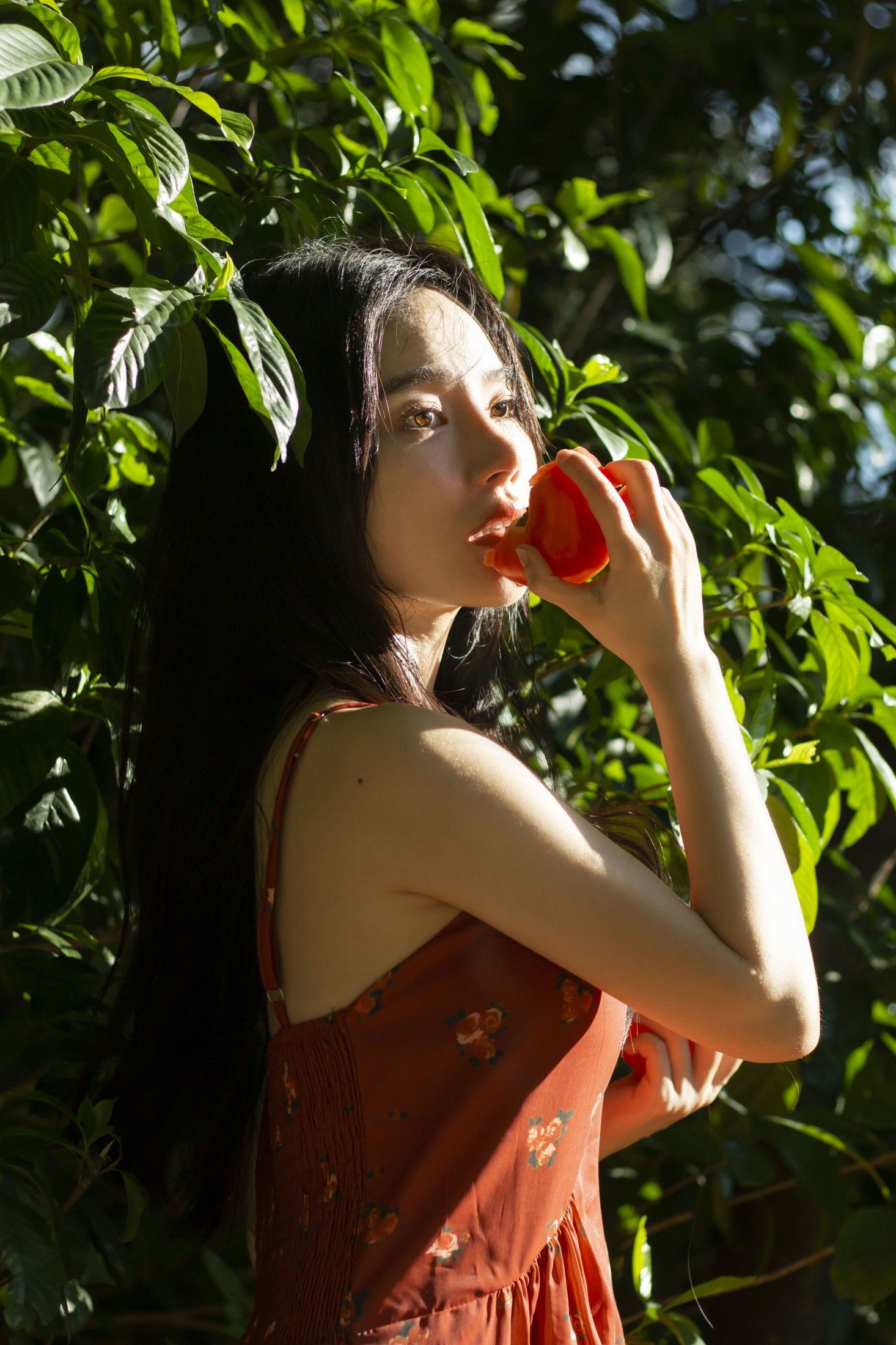 《西红柿味的夏天》[27P]