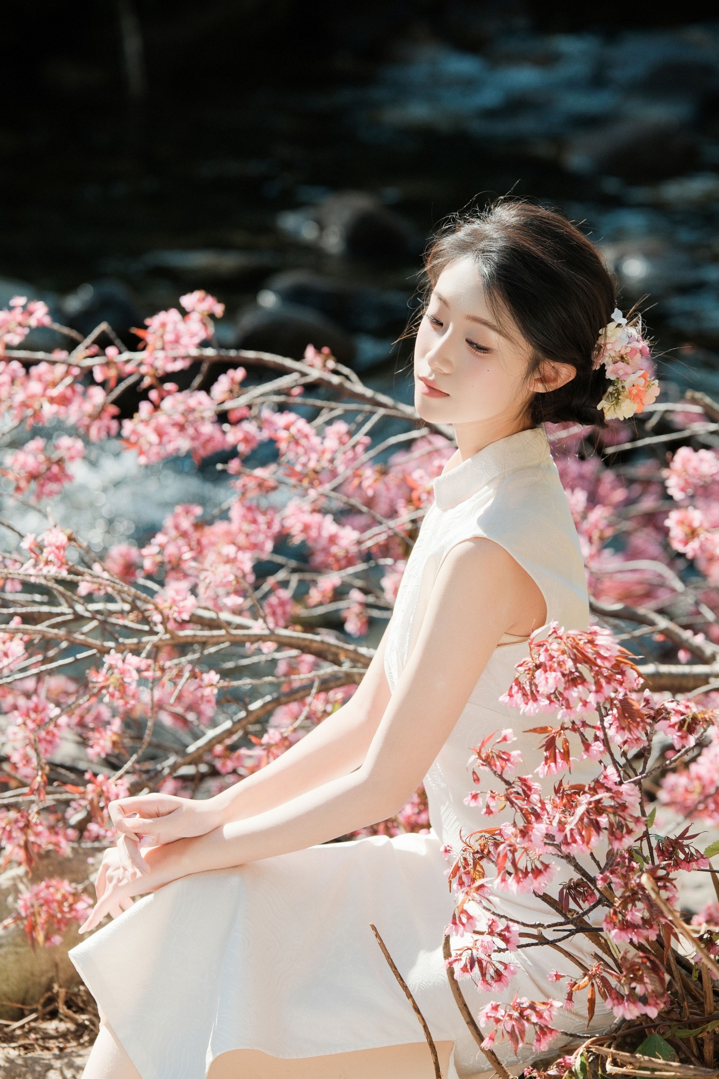 一口烧麦 - 《春风十里，樱香四溢》[30P]