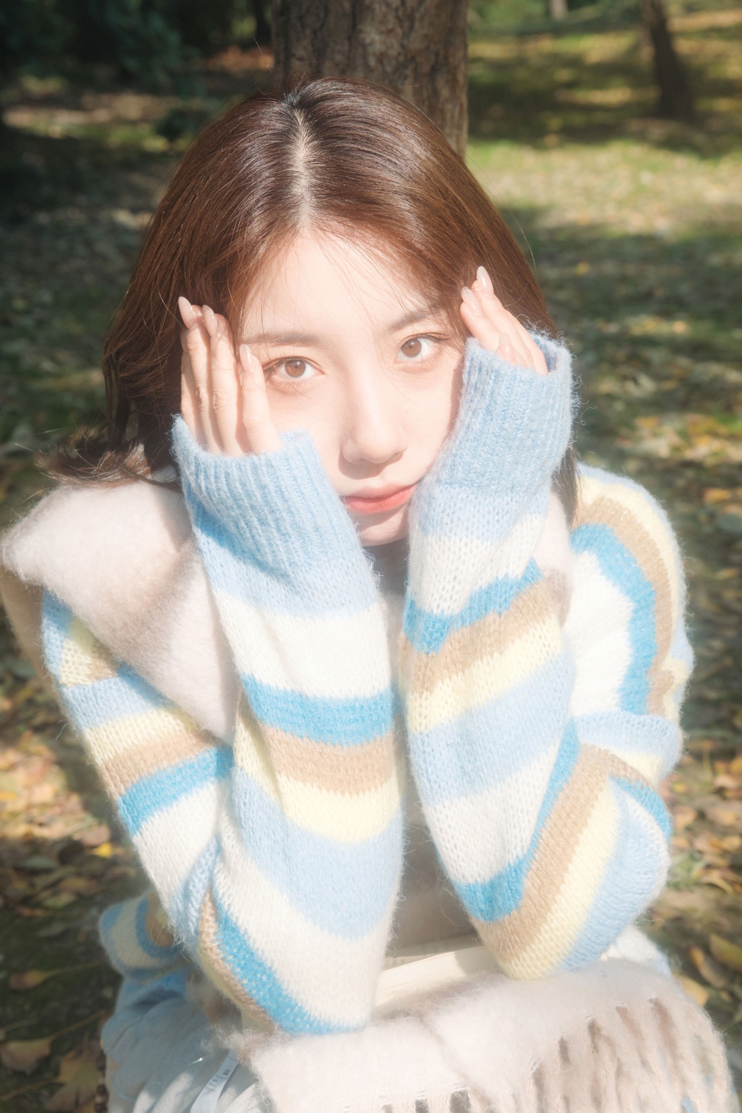 《银杏叶的秋》[31P]