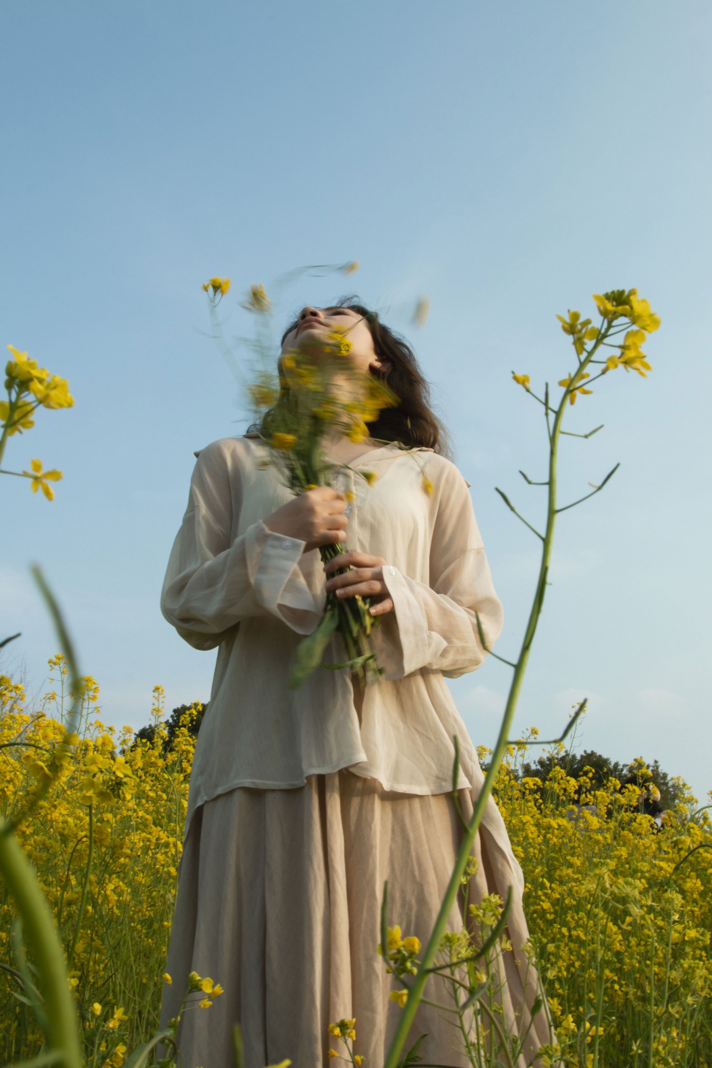 《有一种春天叫油菜花开》[29P]