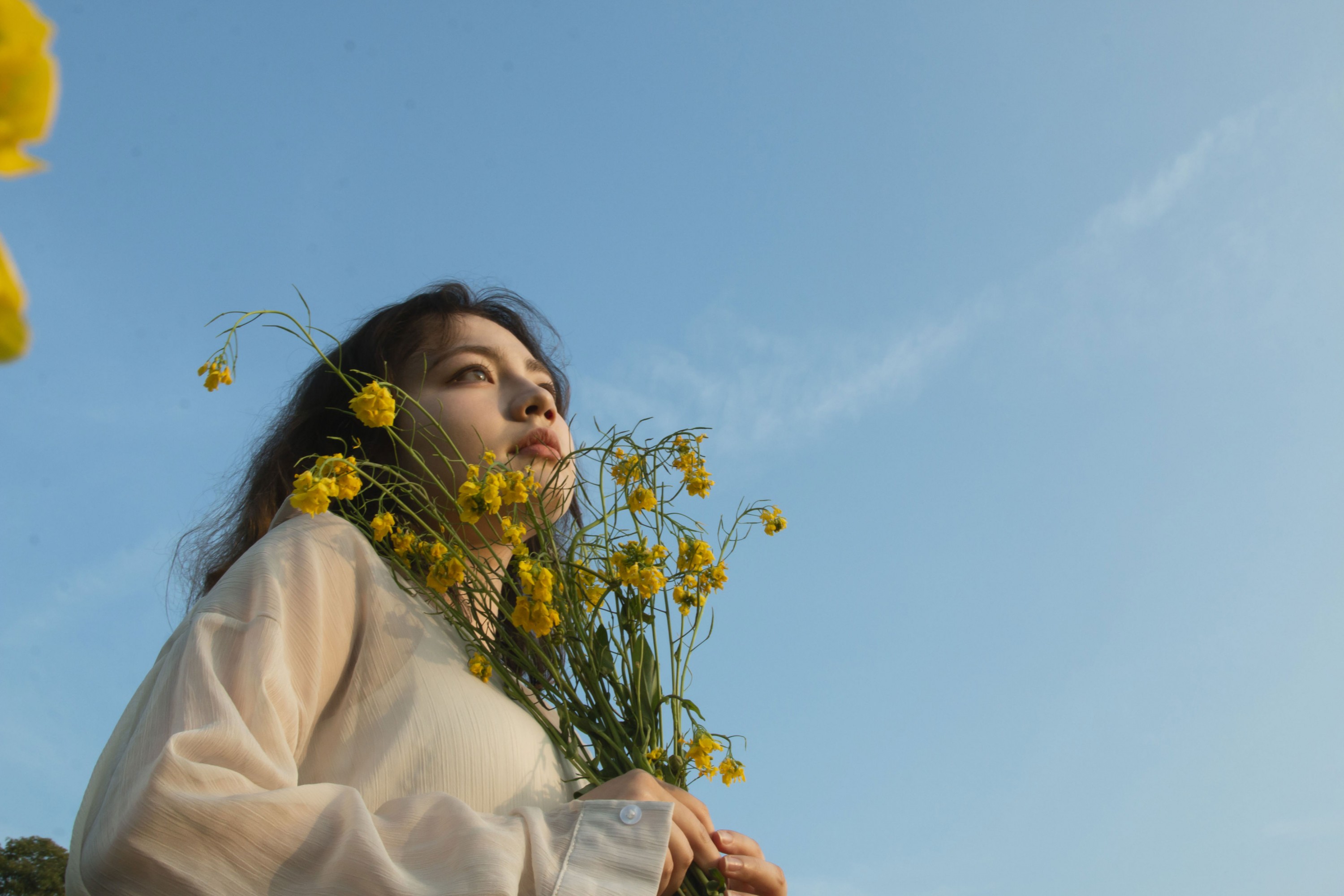 《有一种春天叫油菜花开》[29P]