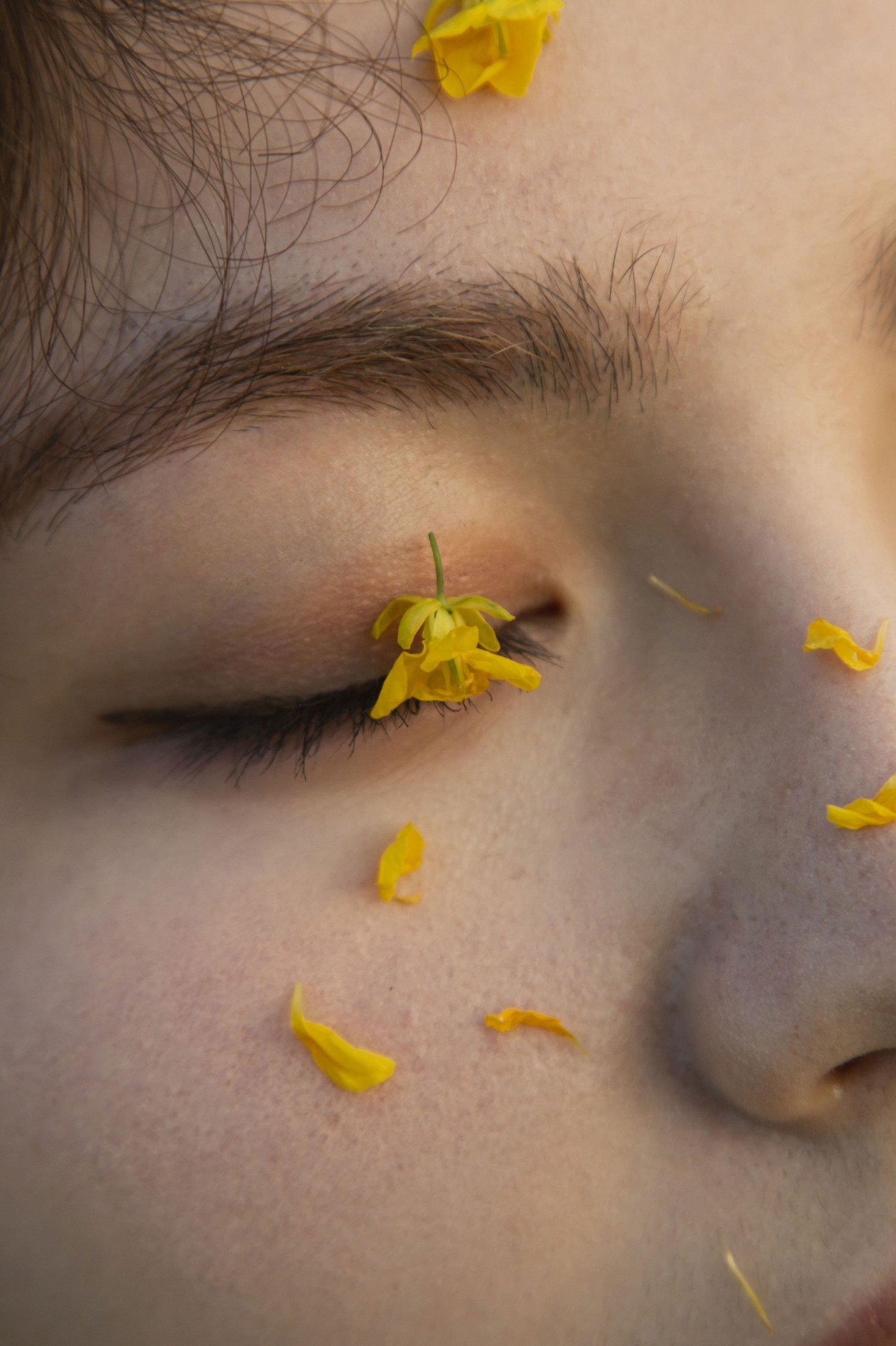 《有一种春天叫油菜花开》[29P]