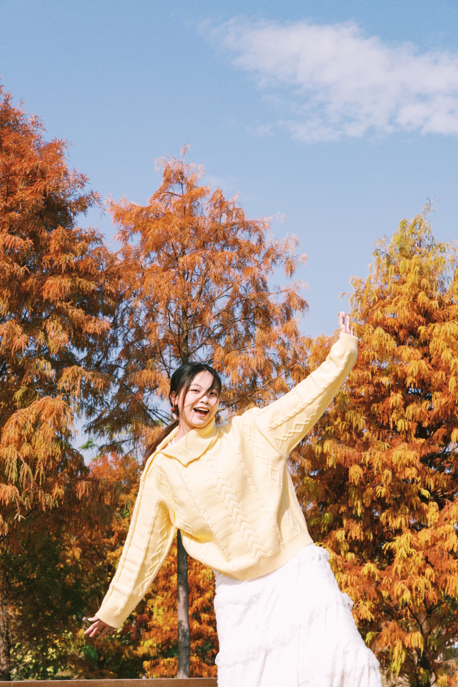 《黄衫与红衫共舞》[23P]