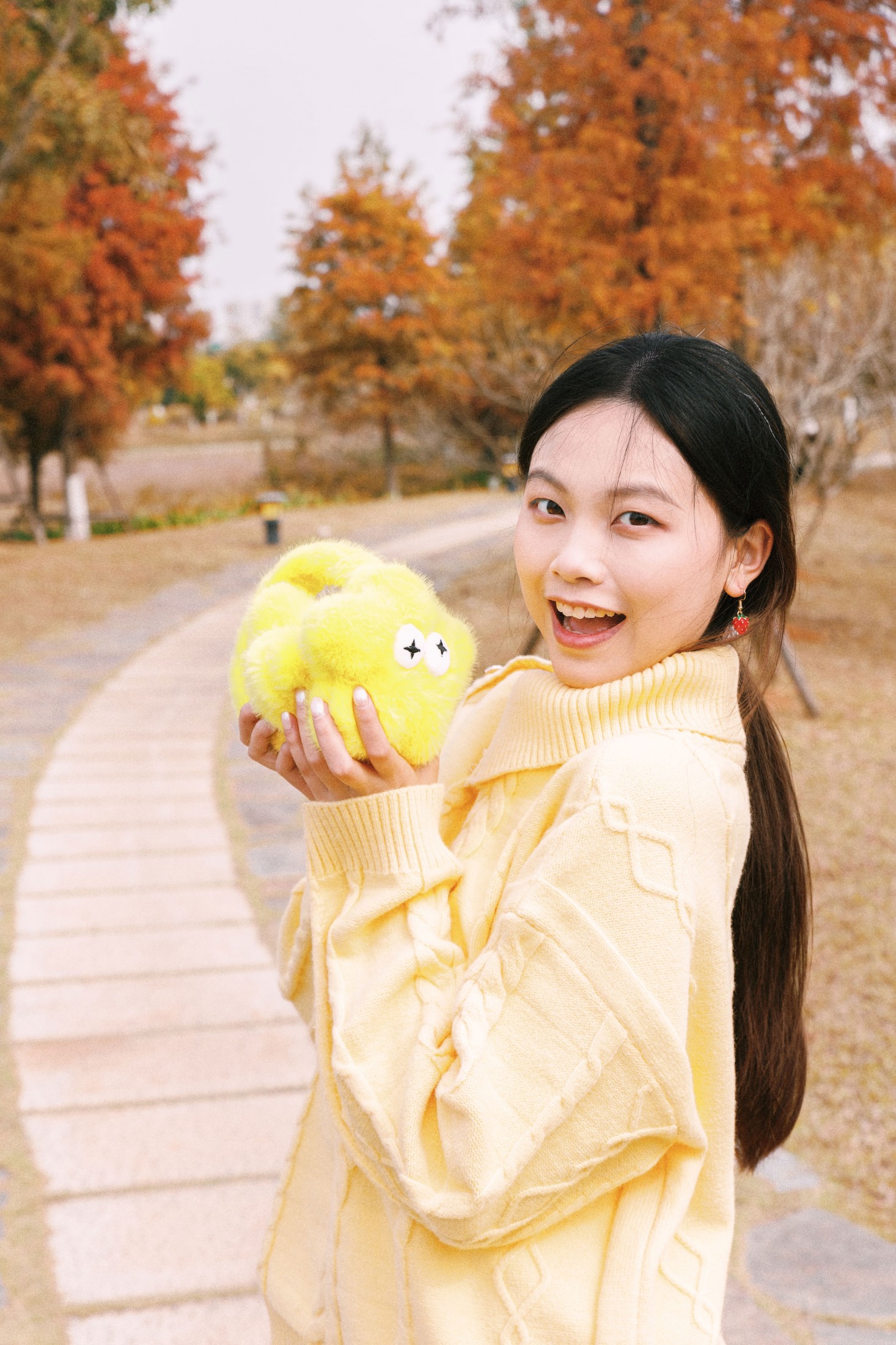 《黄衫与红衫共舞》[23P]