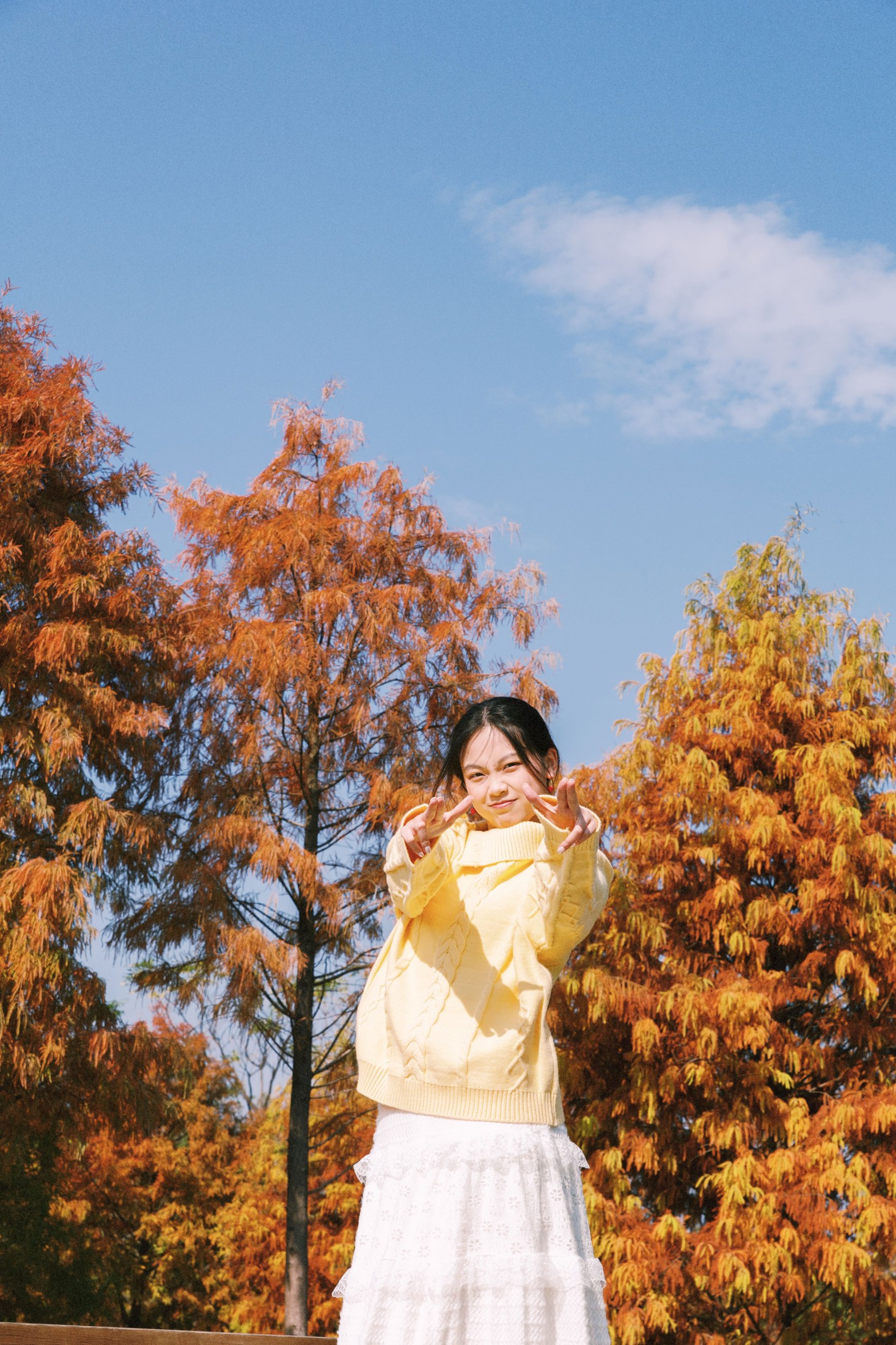 《黄衫与红衫共舞》[23P]