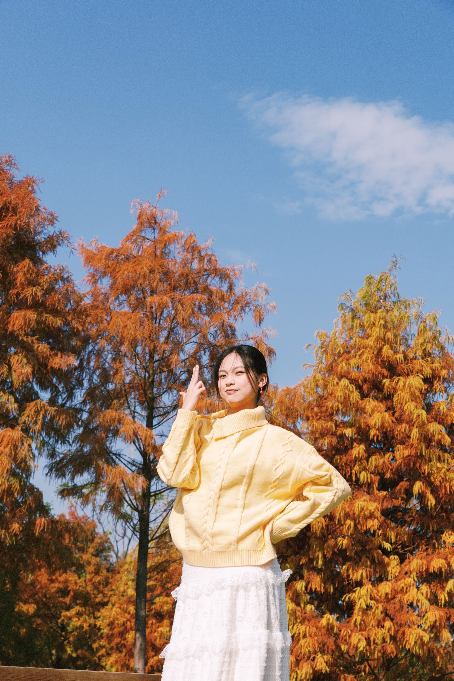 《黄衫与红衫共舞》[23P]