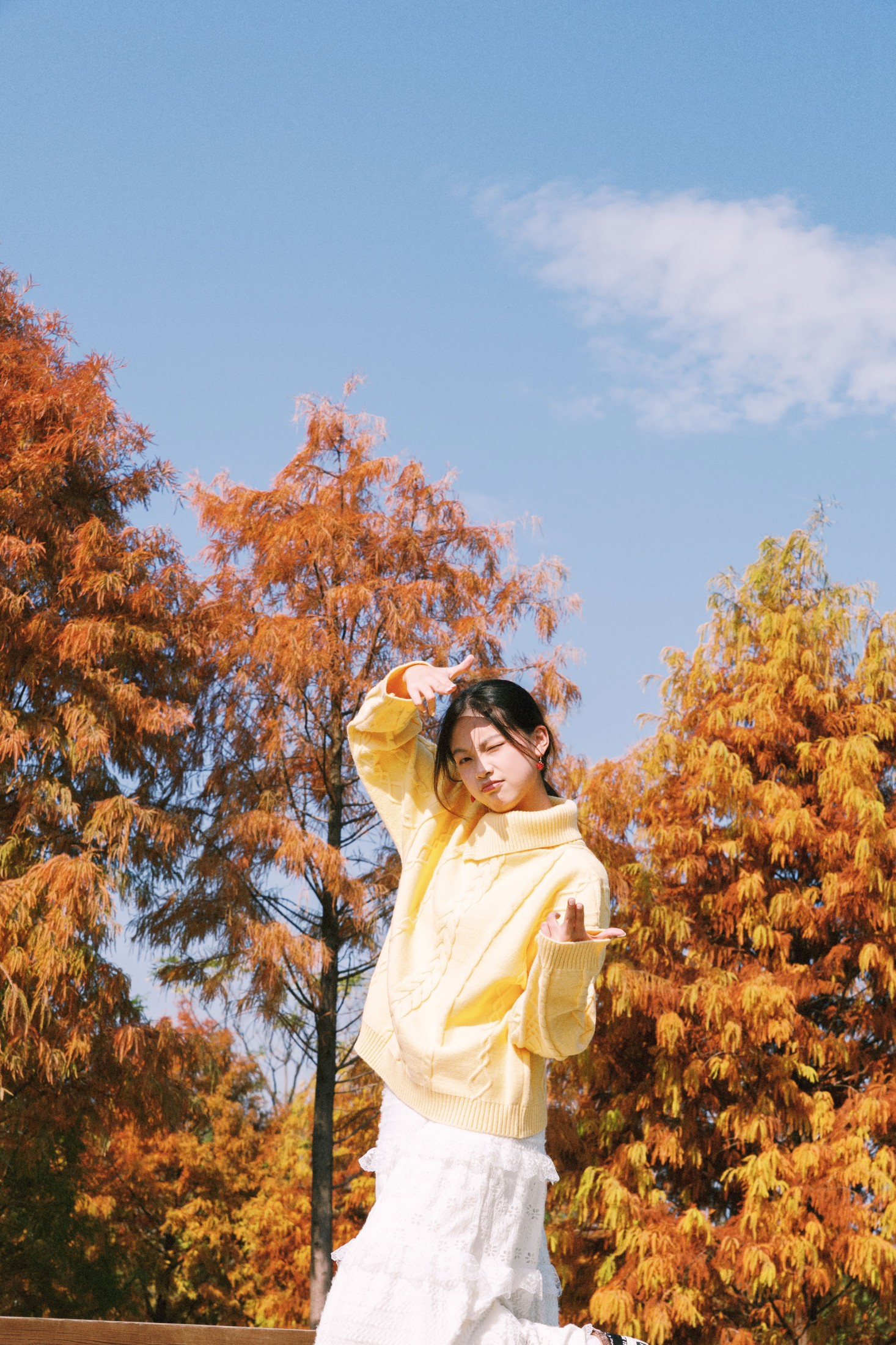 《黄衫与红衫共舞》[23P]