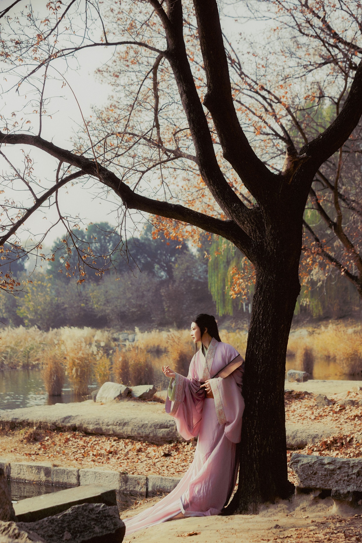 飒达Sada - 《秋水伊人》[30P]