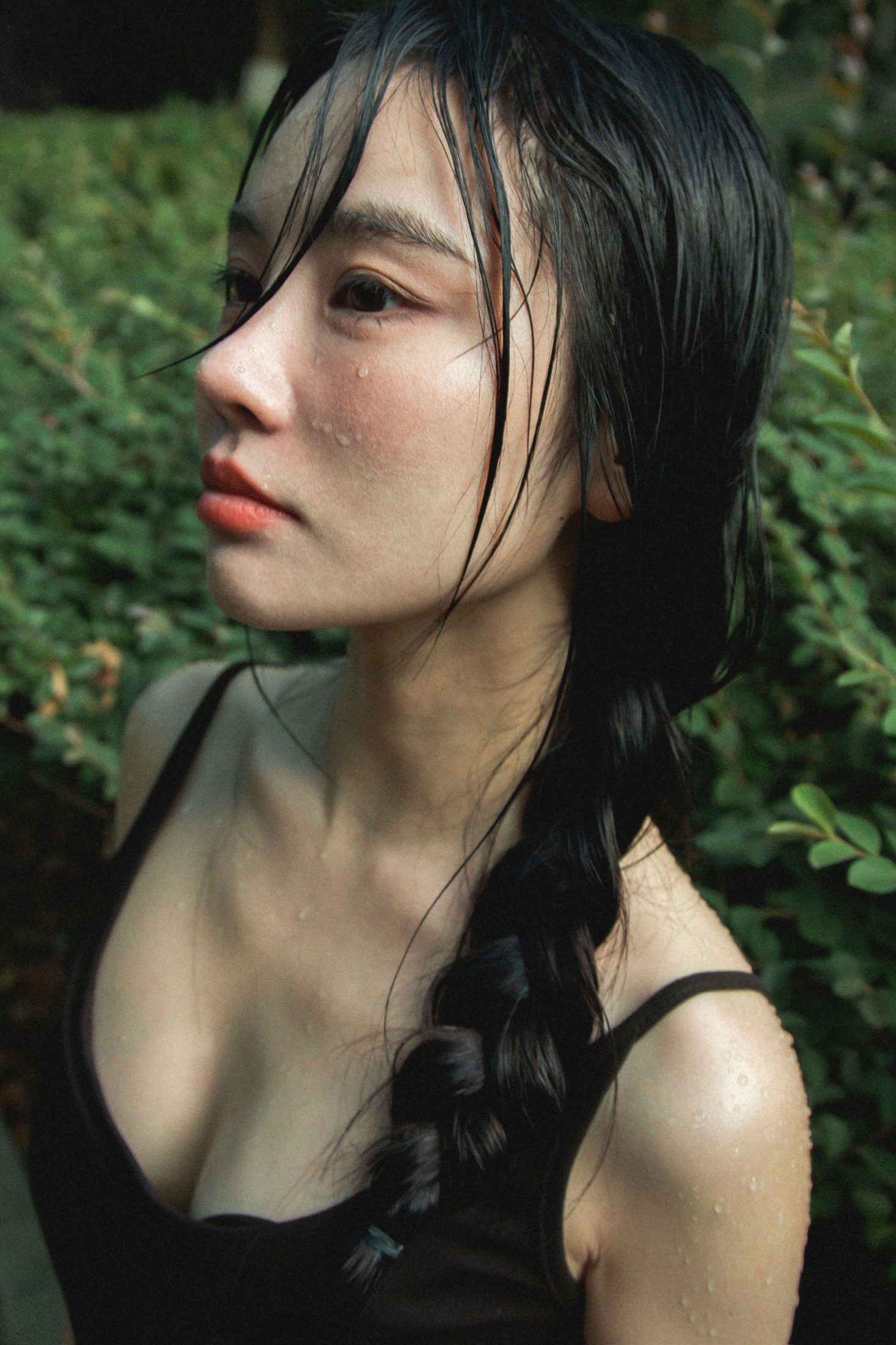 《雨中百合》[33P]