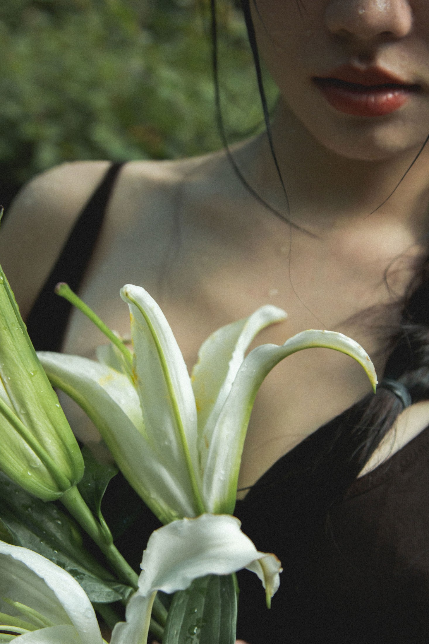 《雨中百合》[33P]