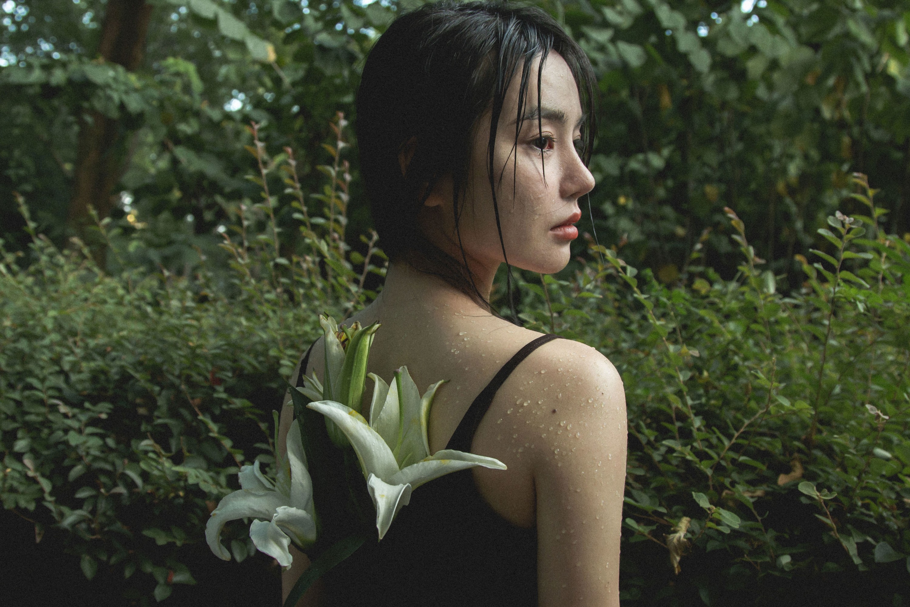 《雨中百合》[33P]