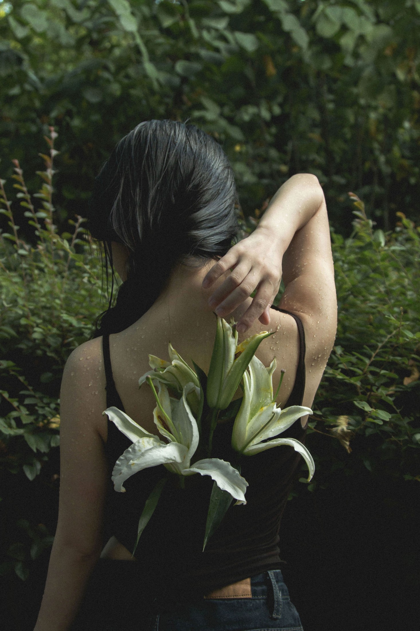 《雨中百合》[33P]