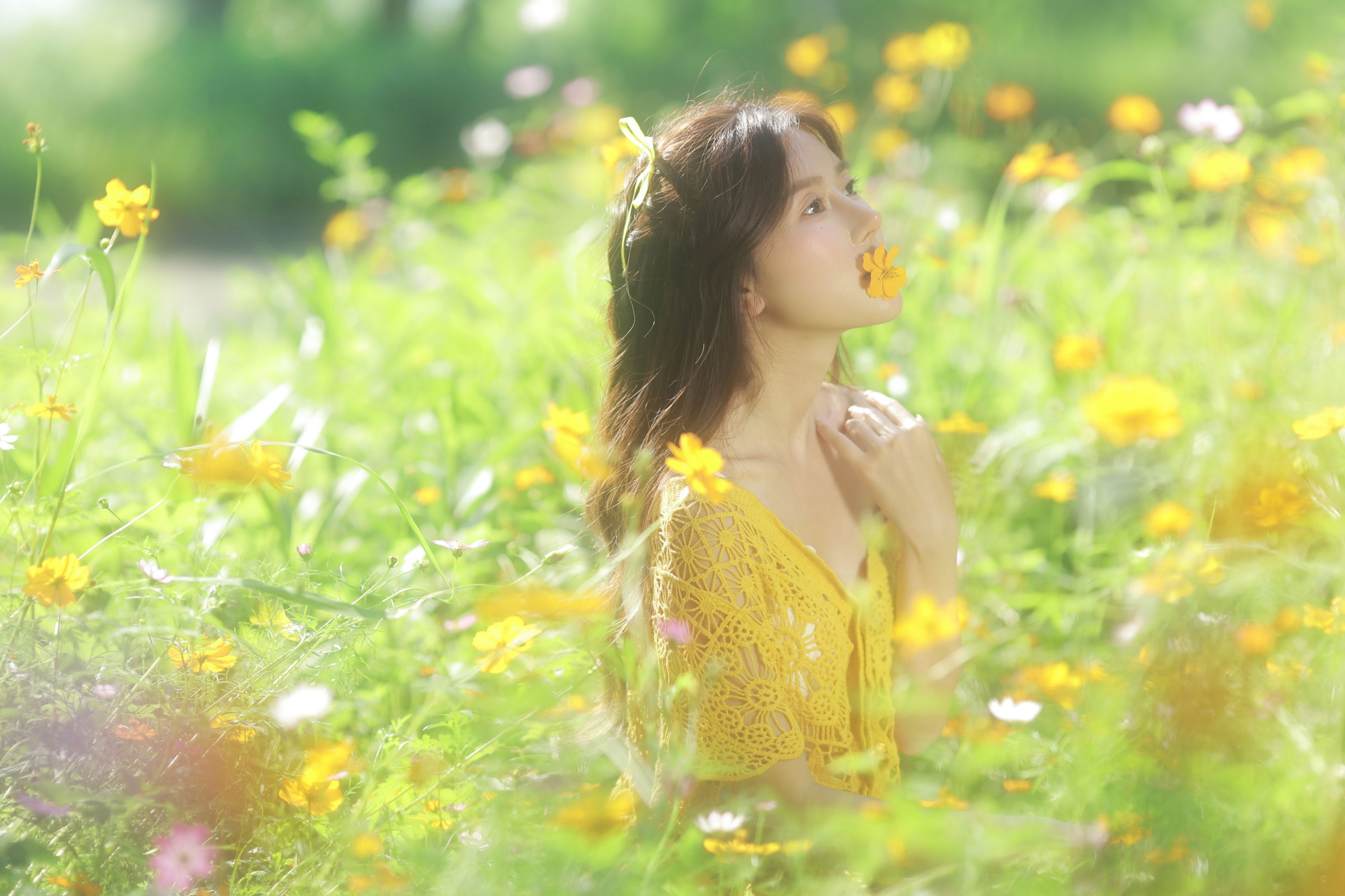 小8 - 《故事的小黄花》[18P]