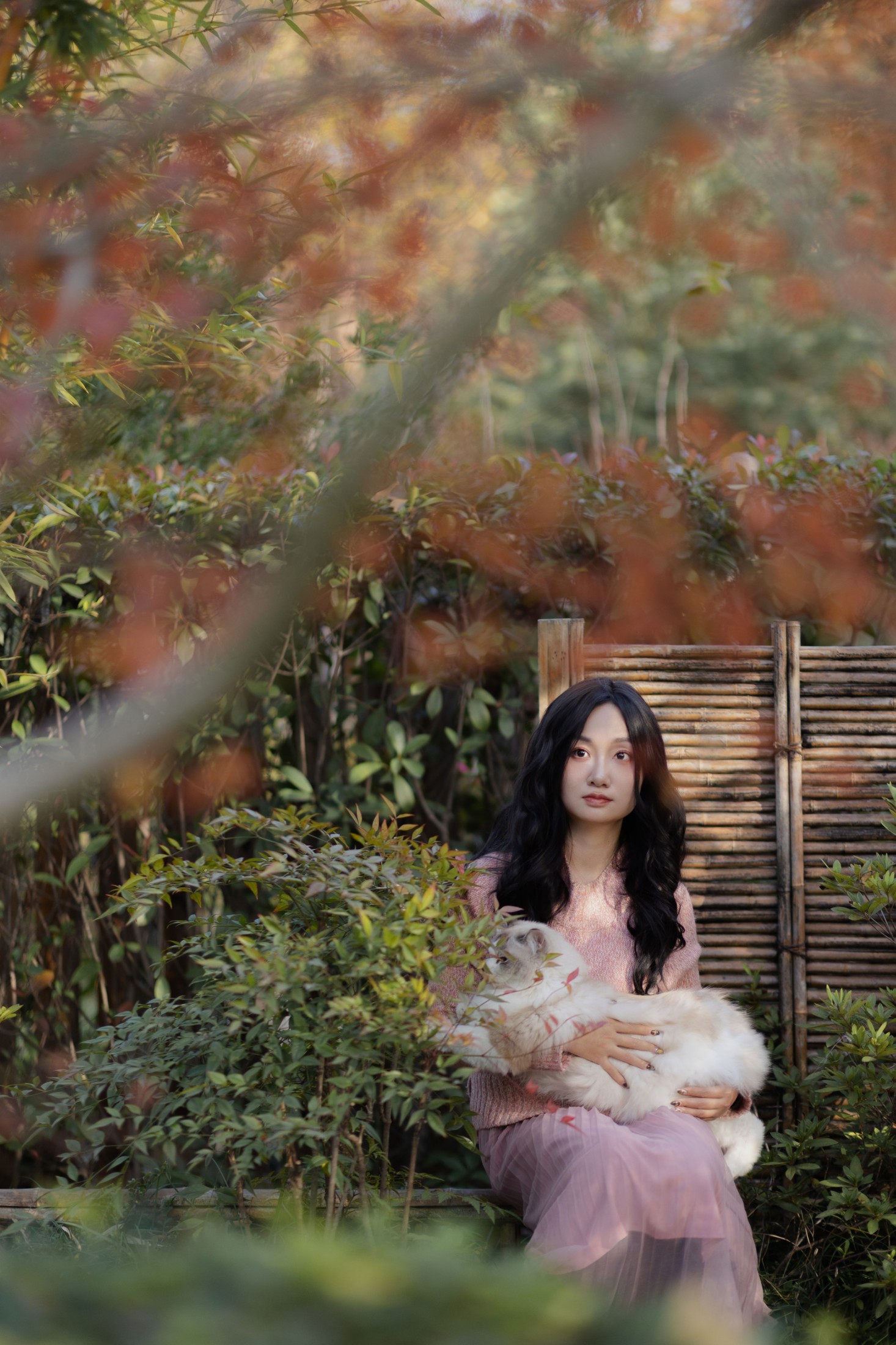 素光 - 《少女与猫》[35P]