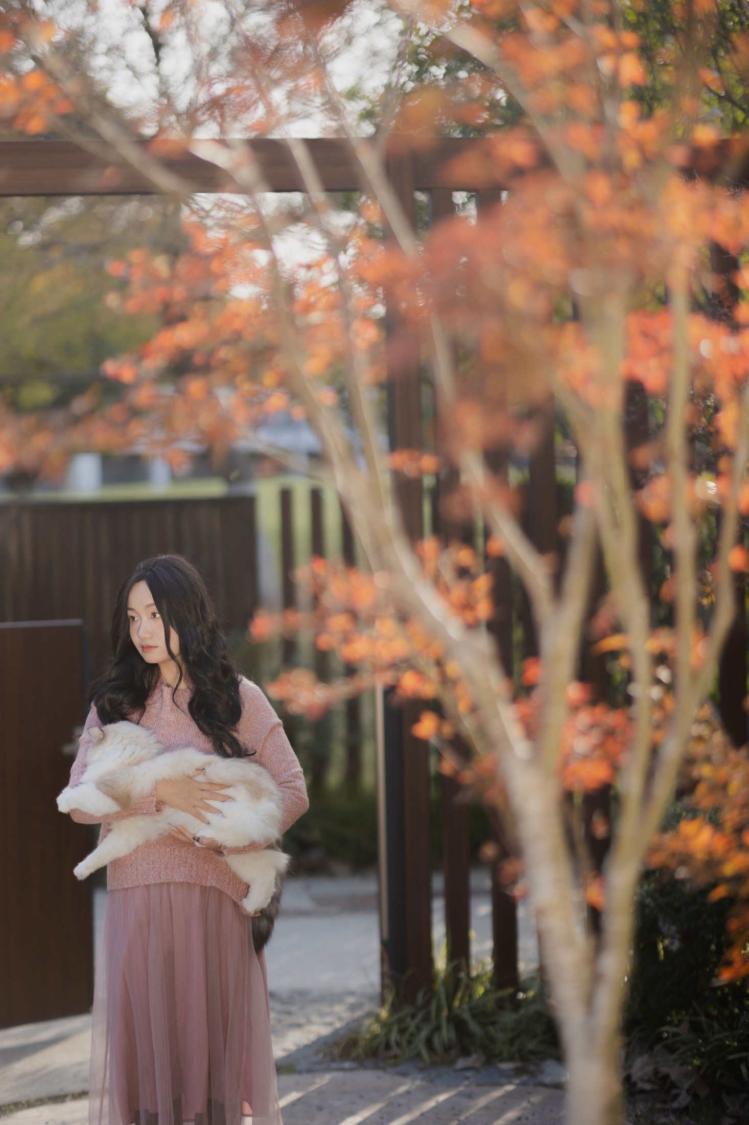 素光 - 《少女与猫》[35P]