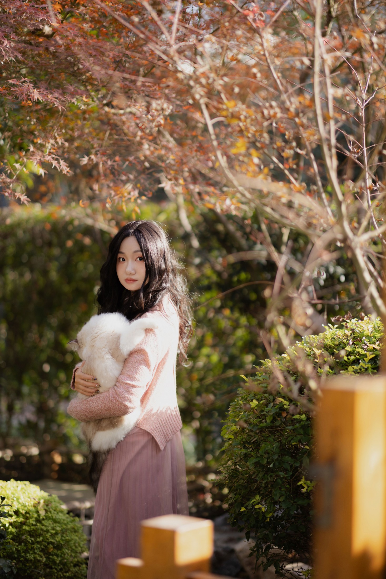 素光 - 《少女与猫》[35P]