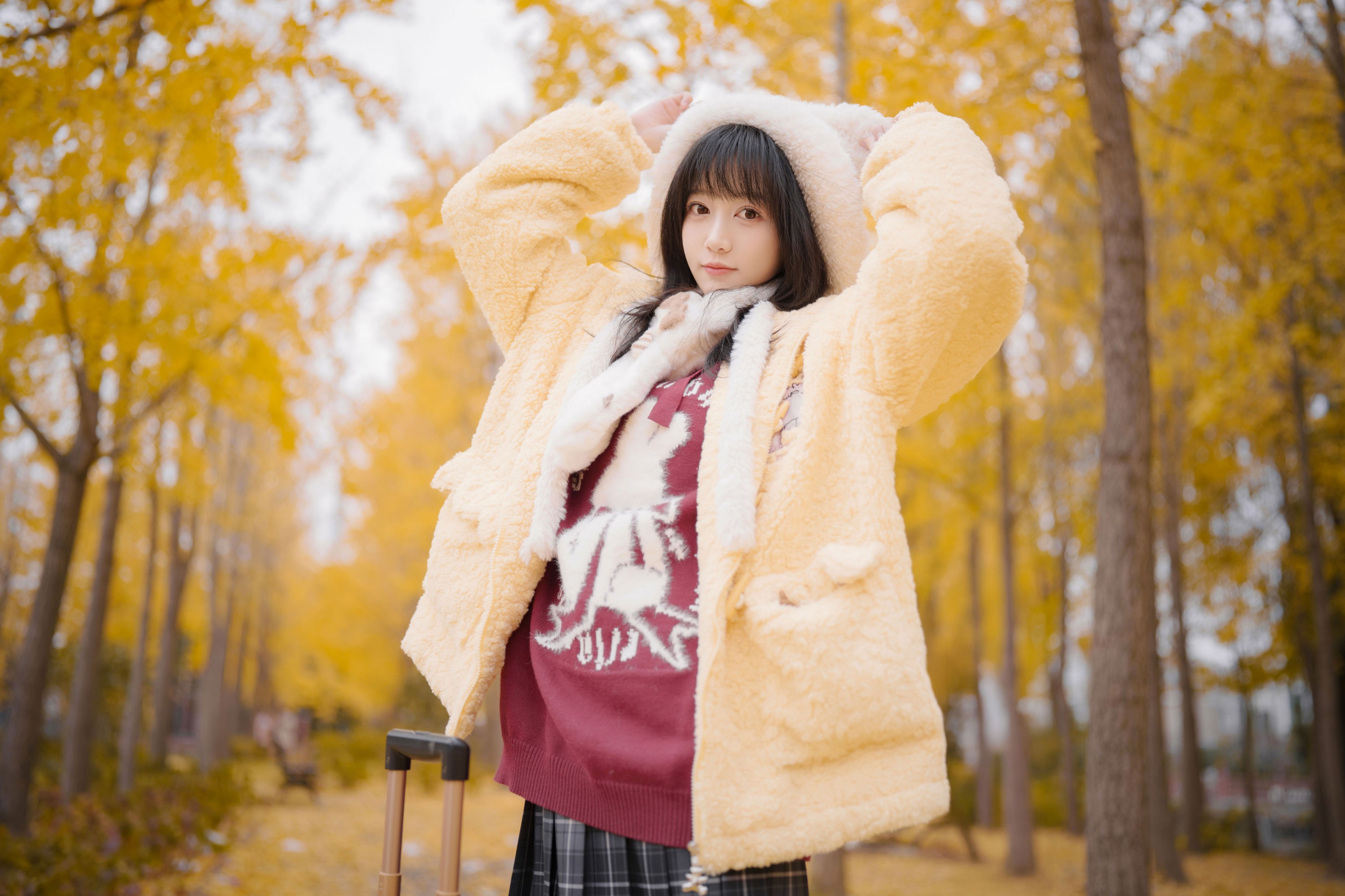 麻瓜社畜小圆 - 《银杏漫步》[33P]