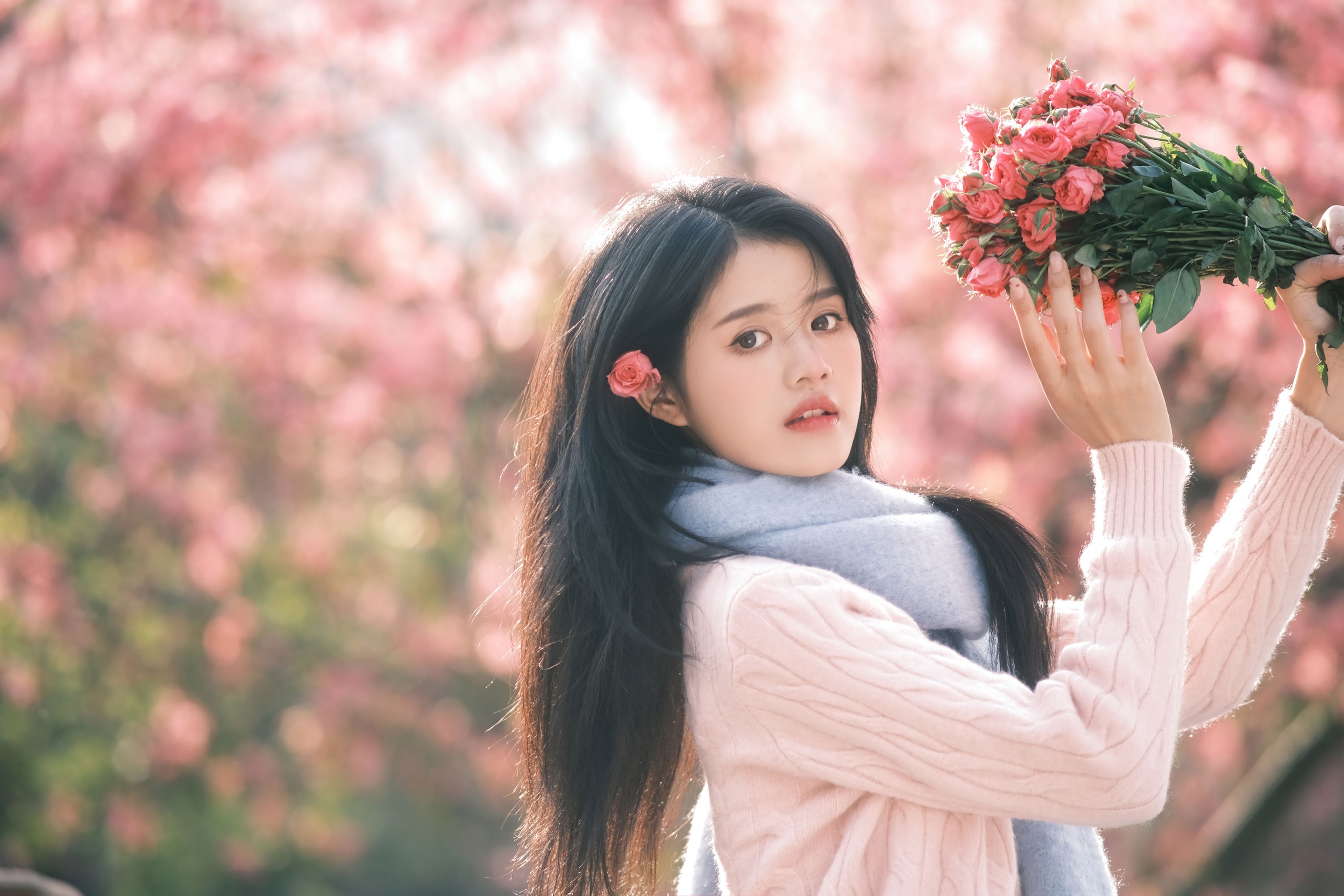 小谢 - 《异木棉的冬天》[18P]