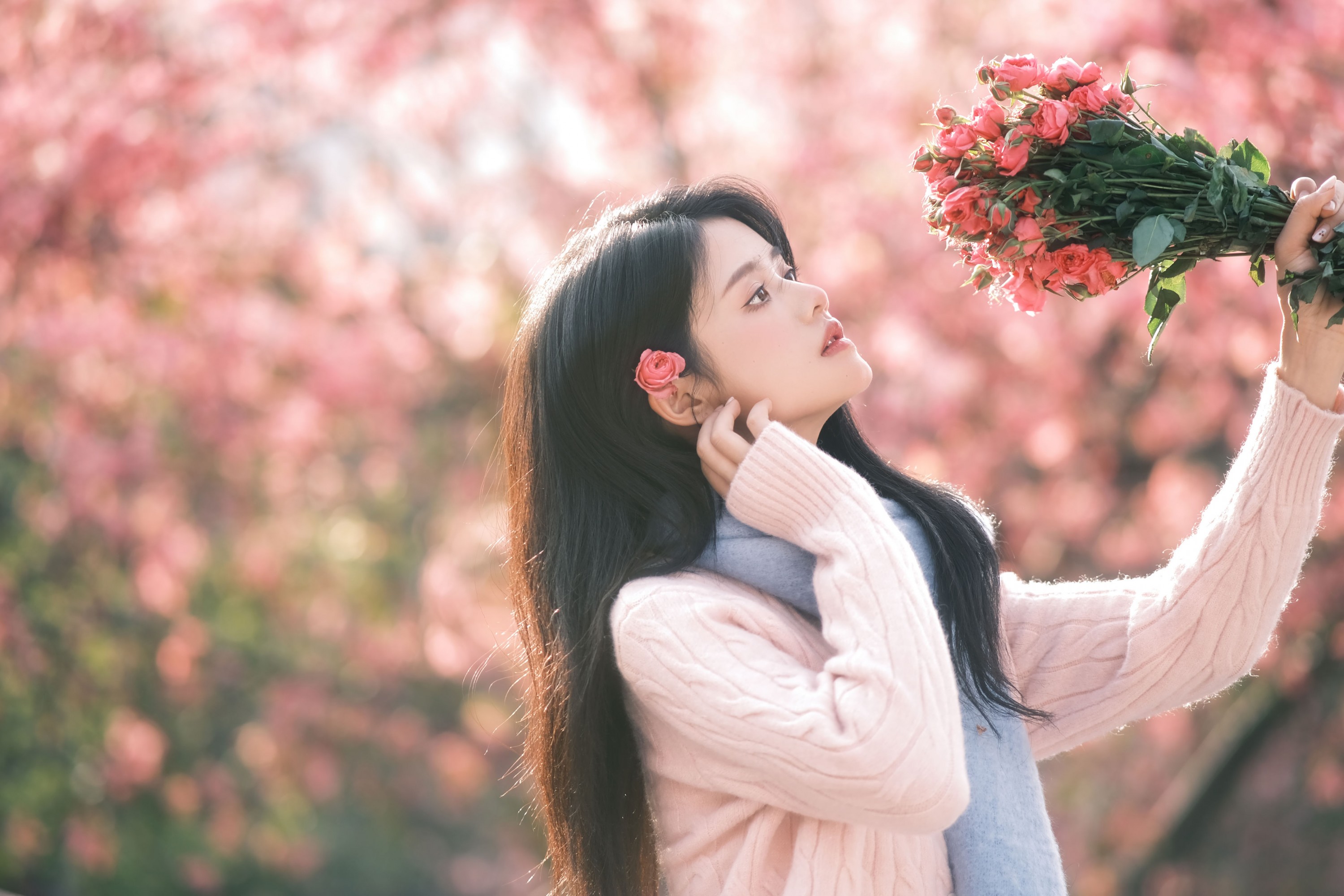 小谢 - 《异木棉的冬天》[18P]