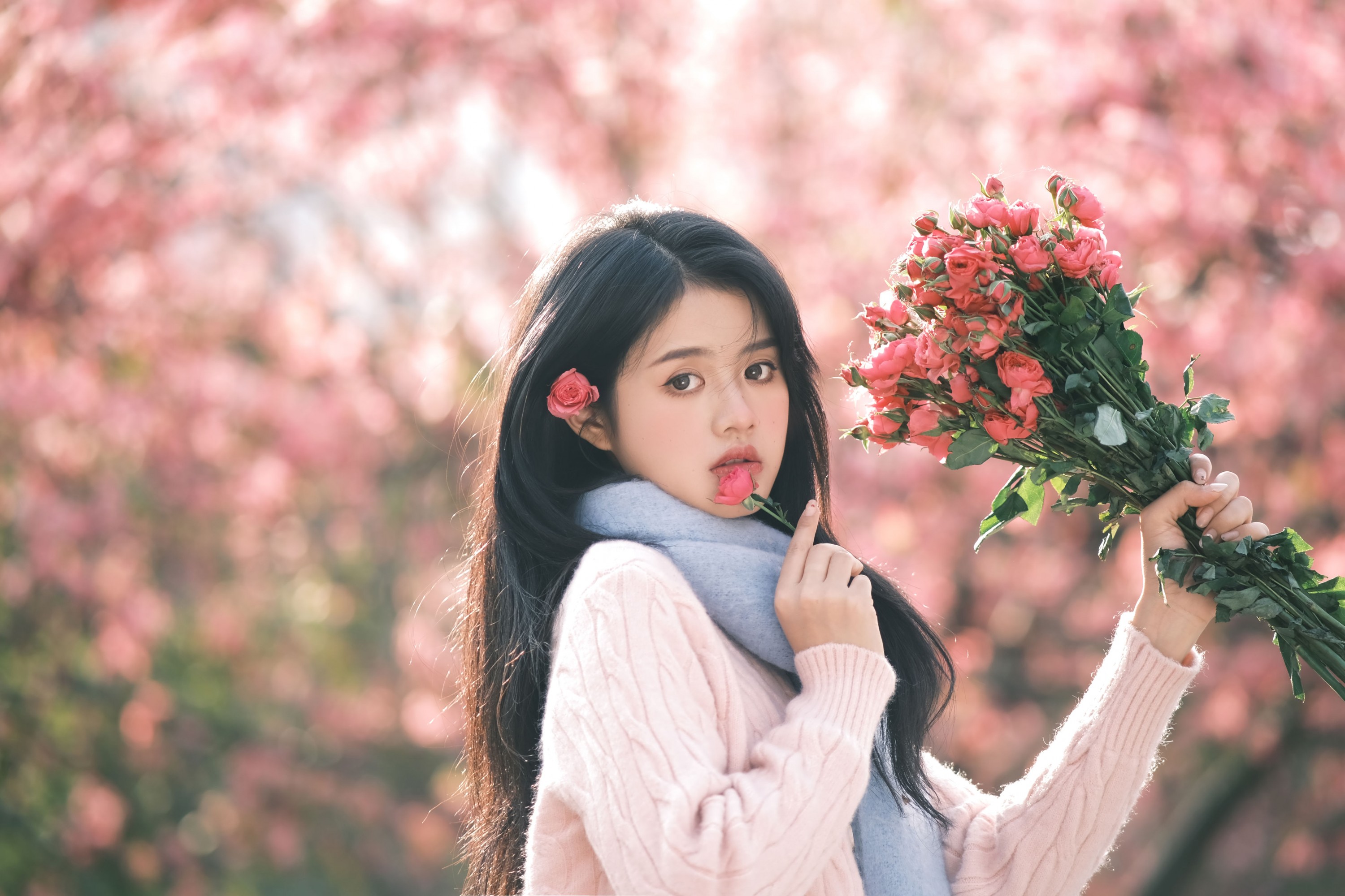 小谢 - 《异木棉的冬天》[18P]