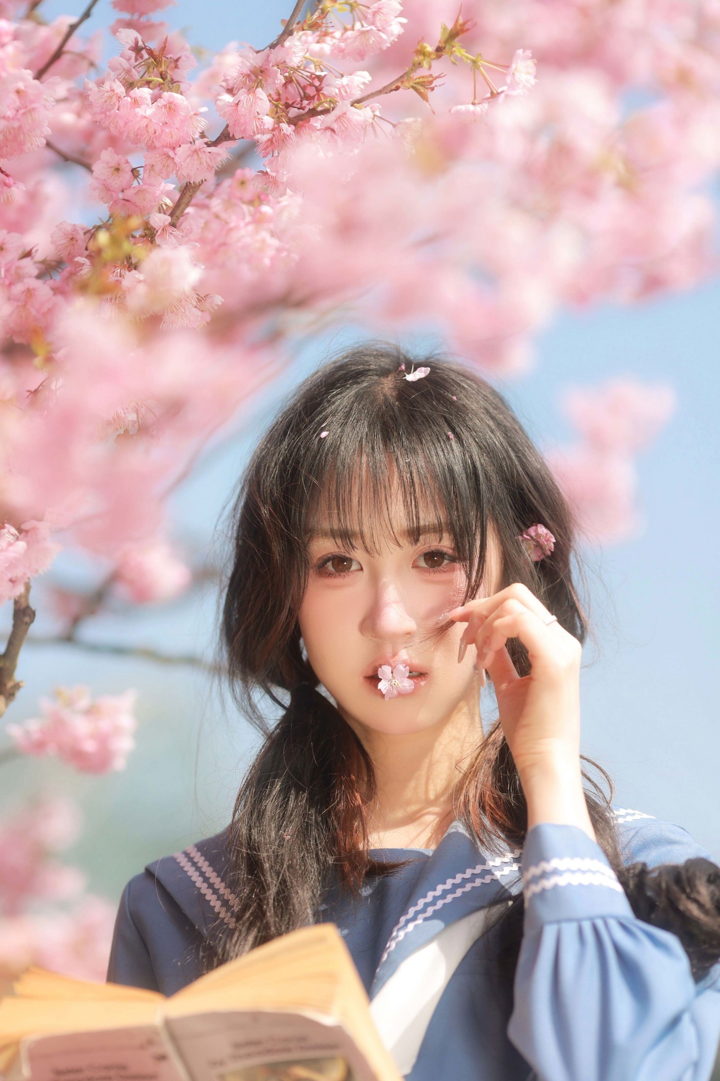 小庞 - 《秒速五厘米》[24P]