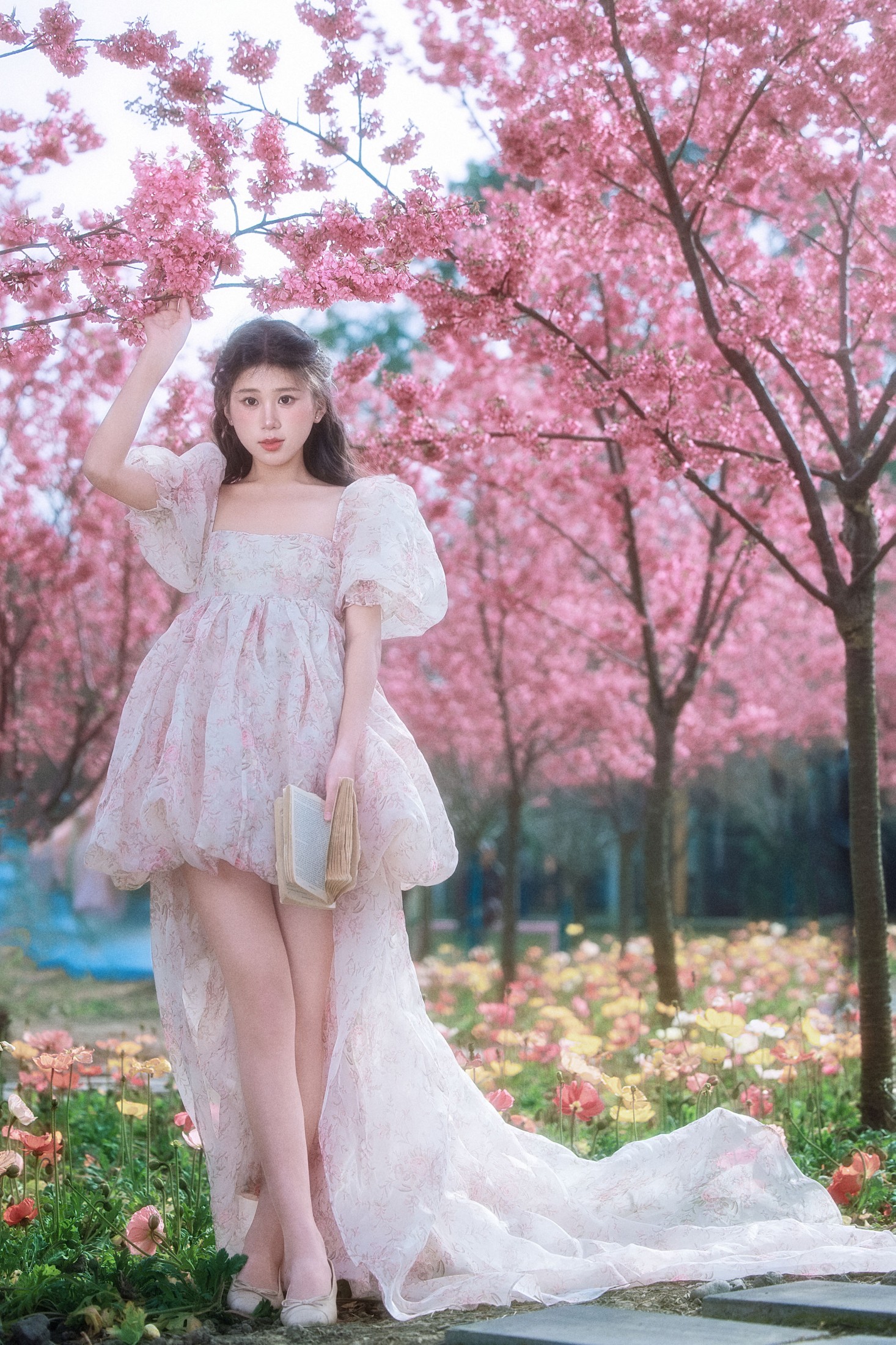 丹丹 - 《樱花树下》[18P]