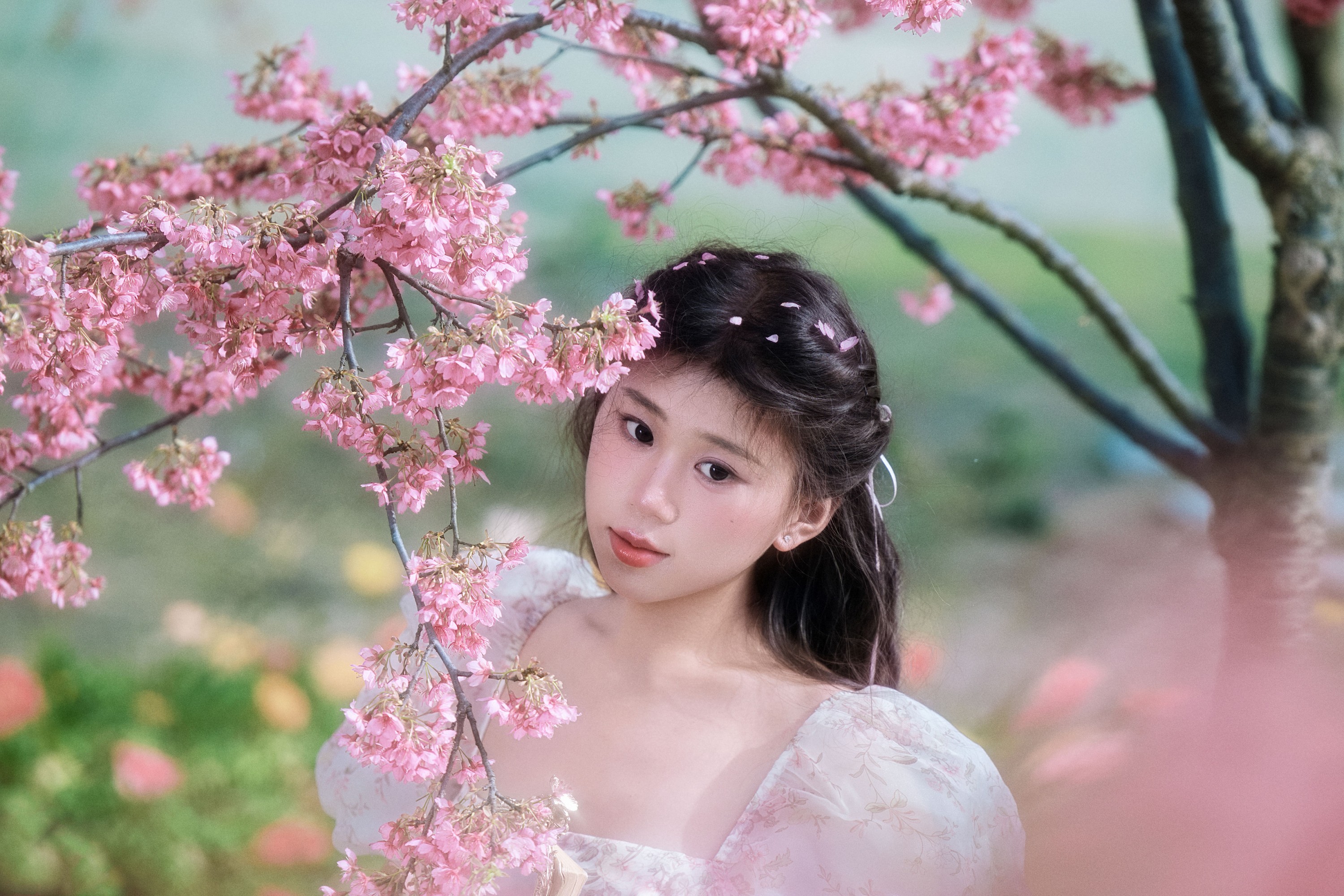 丹丹 – 《樱花树下》[18P]